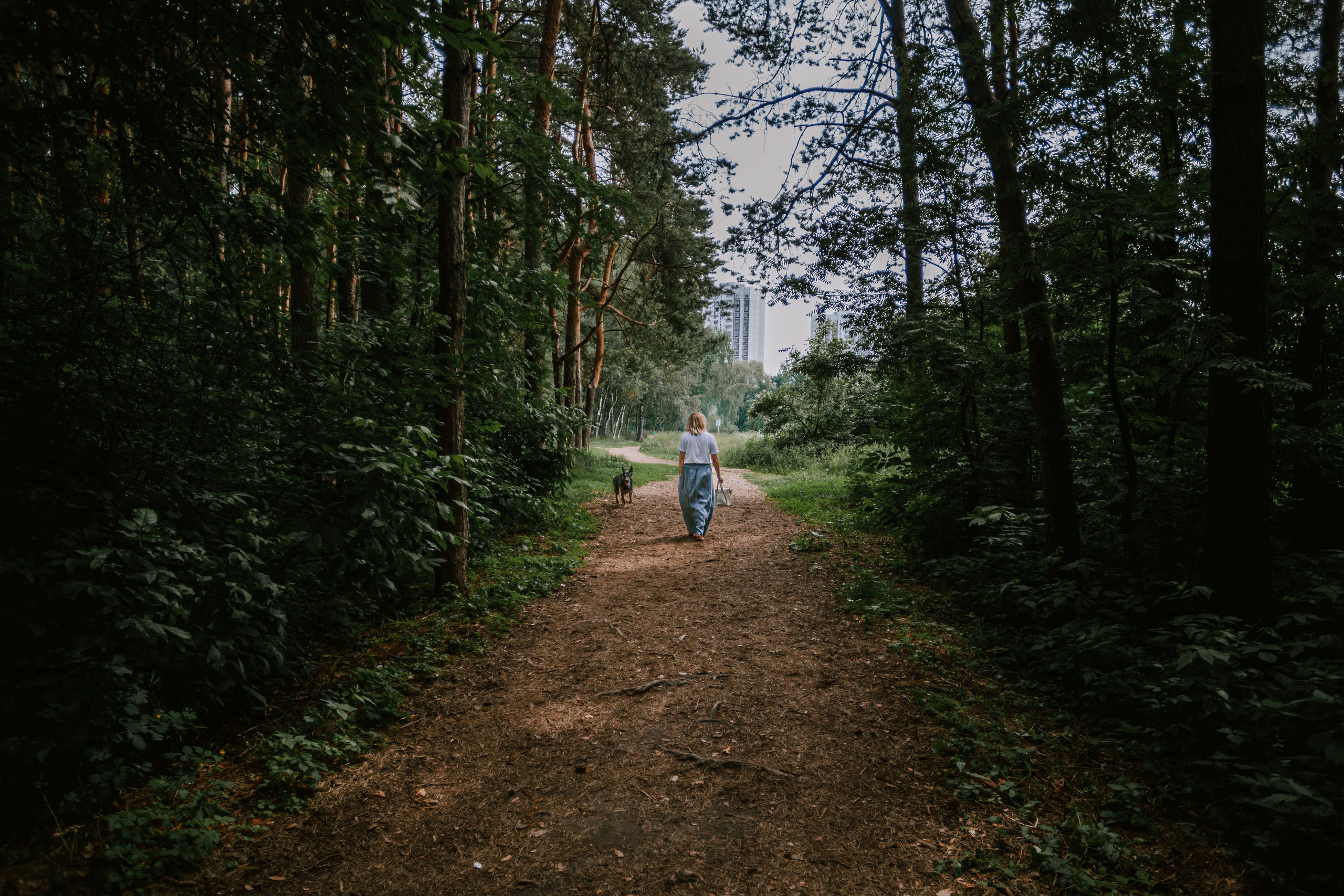 Лесная летняя фотопрогулка. Фотограф-анималист Татьяна Степанова
