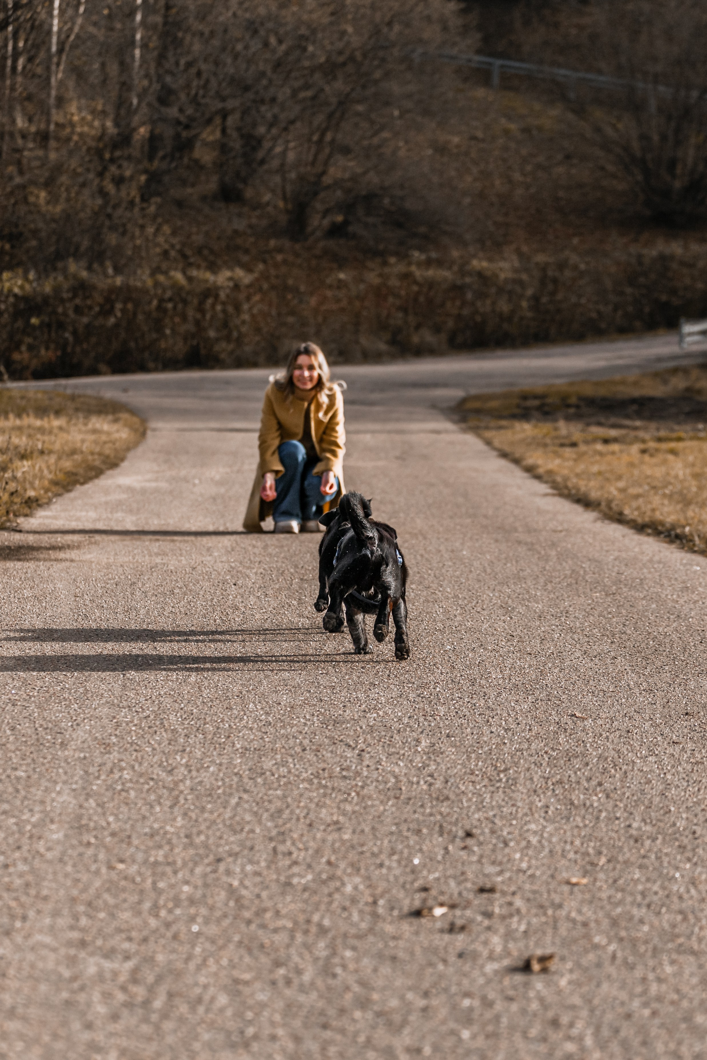 Оля, Харви, Луис. Фотограф-анималист Татьяна Степанова