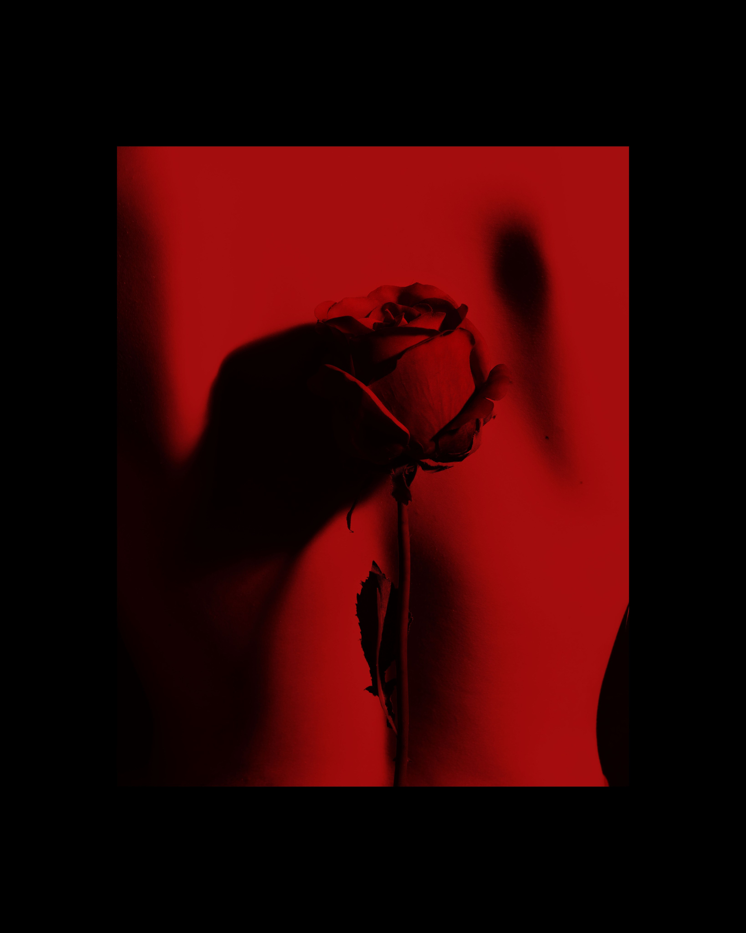 POLINA. Свадебный фотограф Питер СПБ Индивидуальные, парные, свадебные съёмки