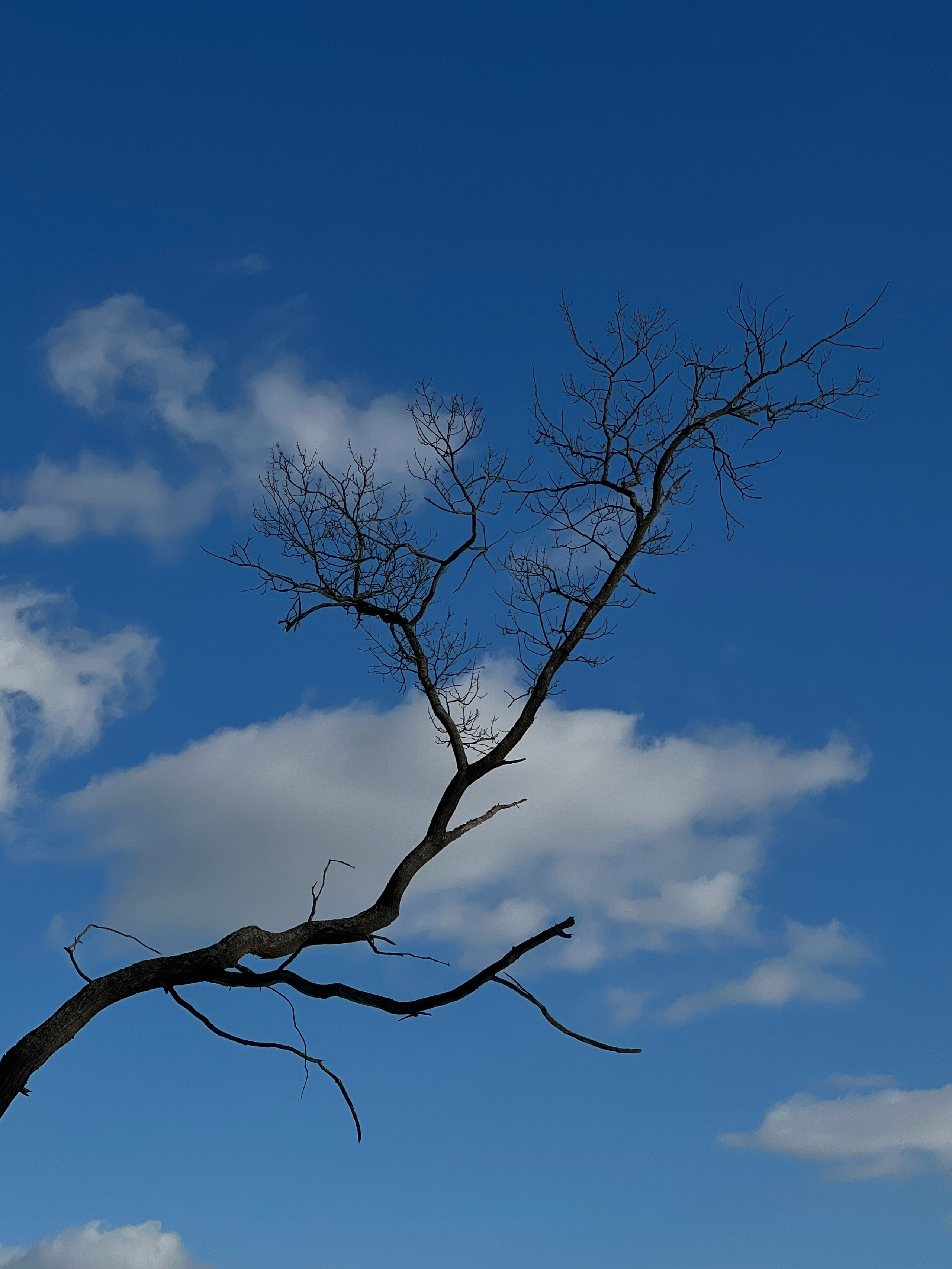 Fragments. Artem Khusainov