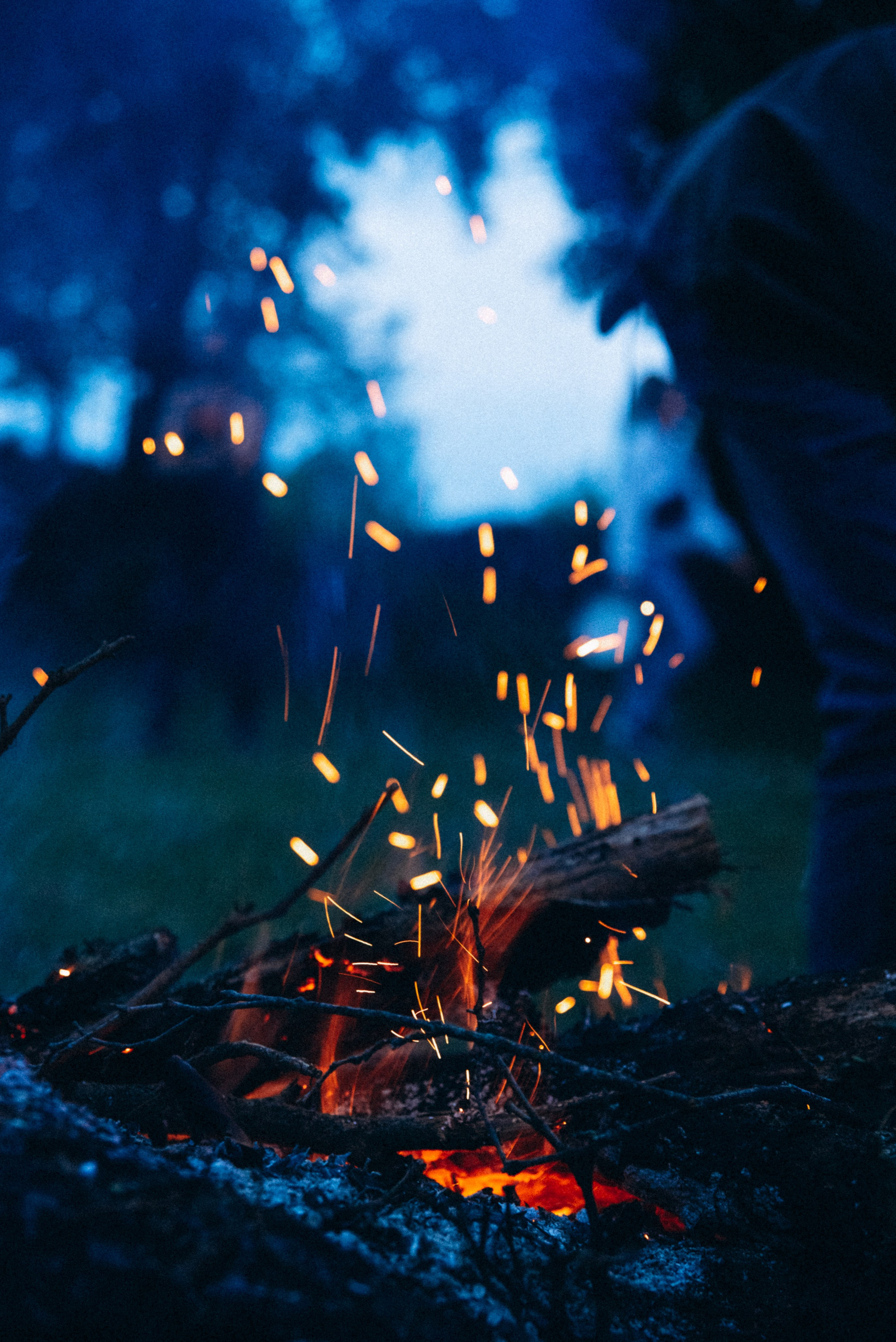 Harmoyfest 2023 Georgia 🇬🇪. Anita_photo