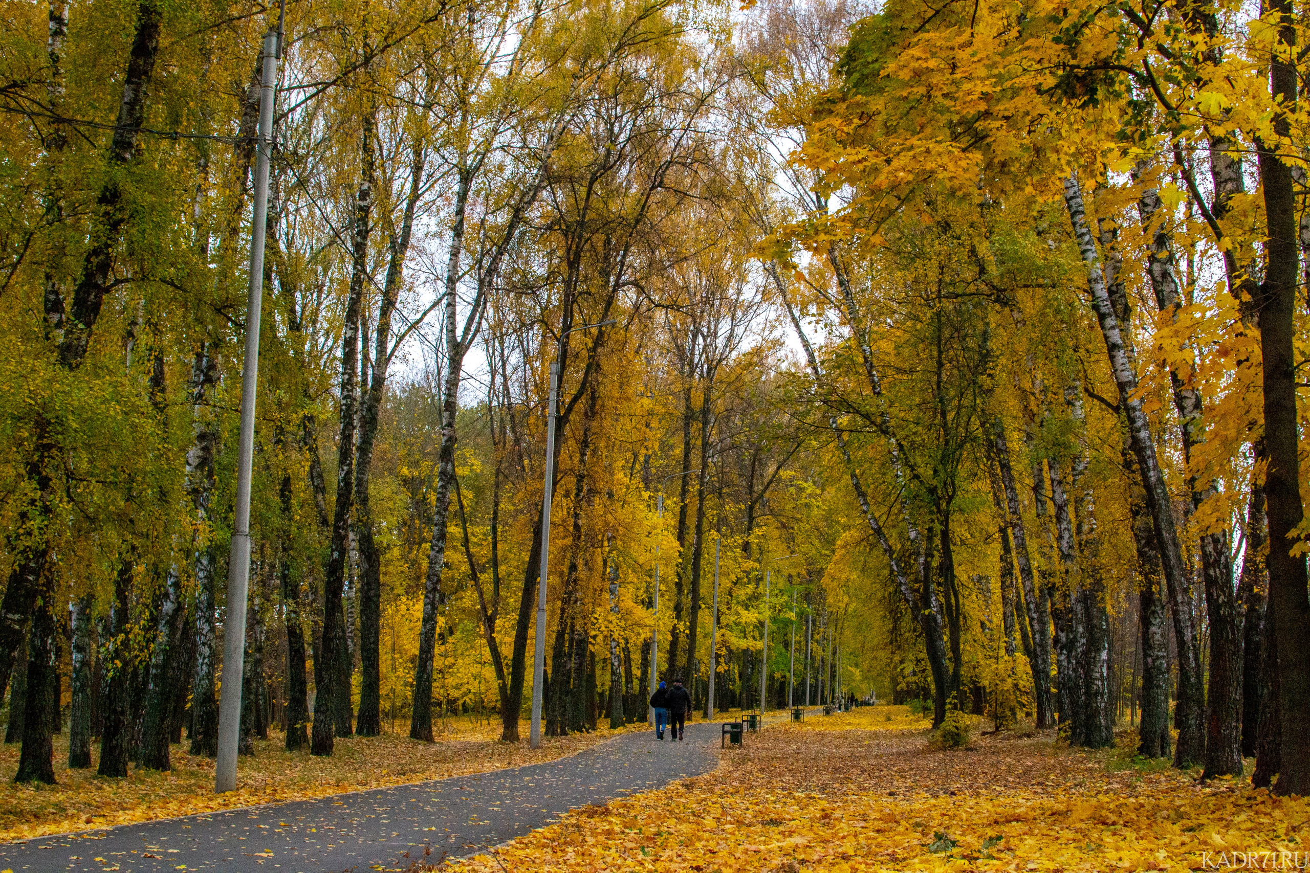 Центральный парк культуры и отдыха им. П. П. Белоусова. Фотограф в Туле Крупский АнДРей. Фотостудия «КАДР71» в Туле
