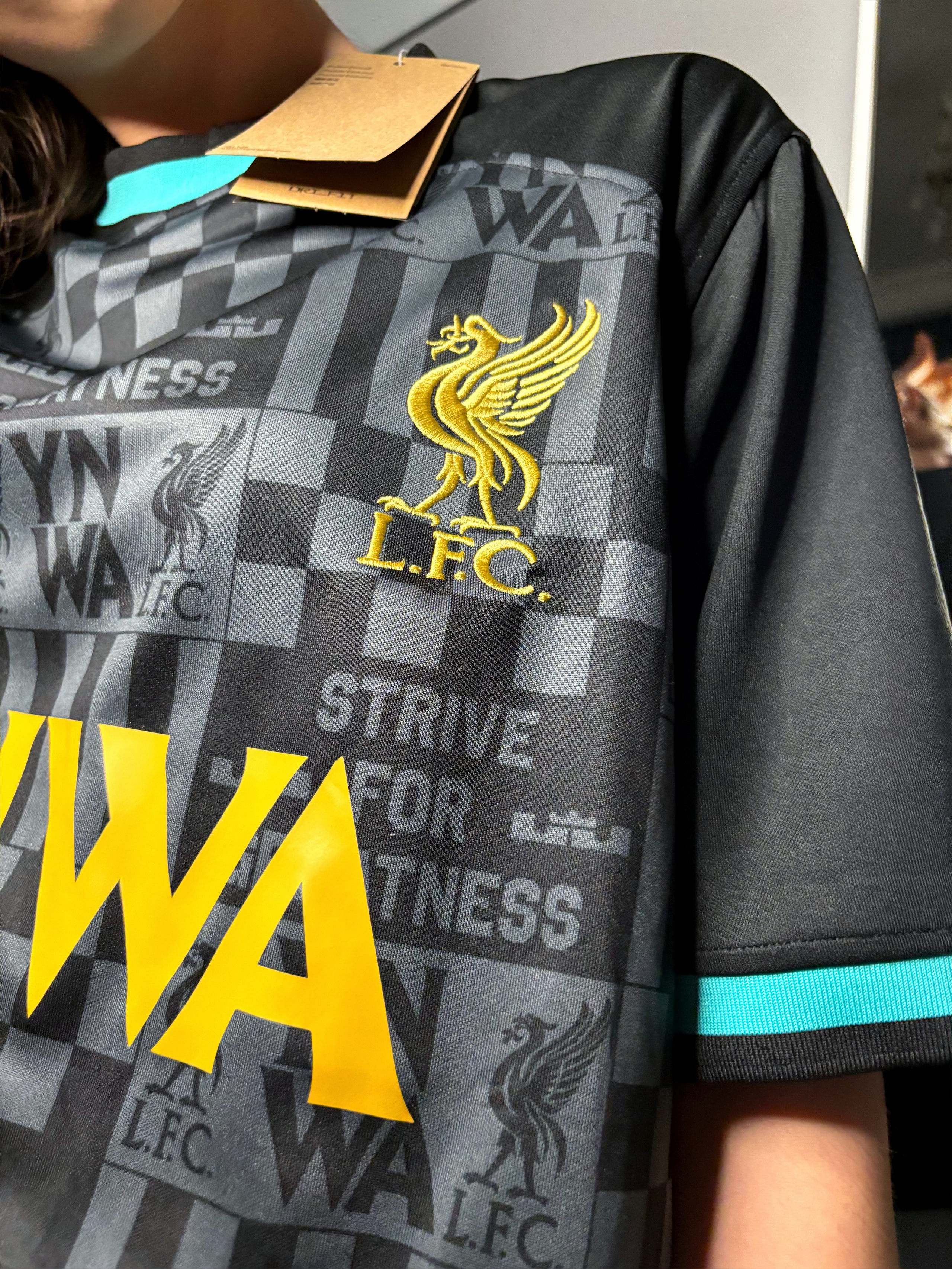 Футболка Ливерпуль Леброн 2023-2024 купить. Футбольный магазин — ssw_magazin