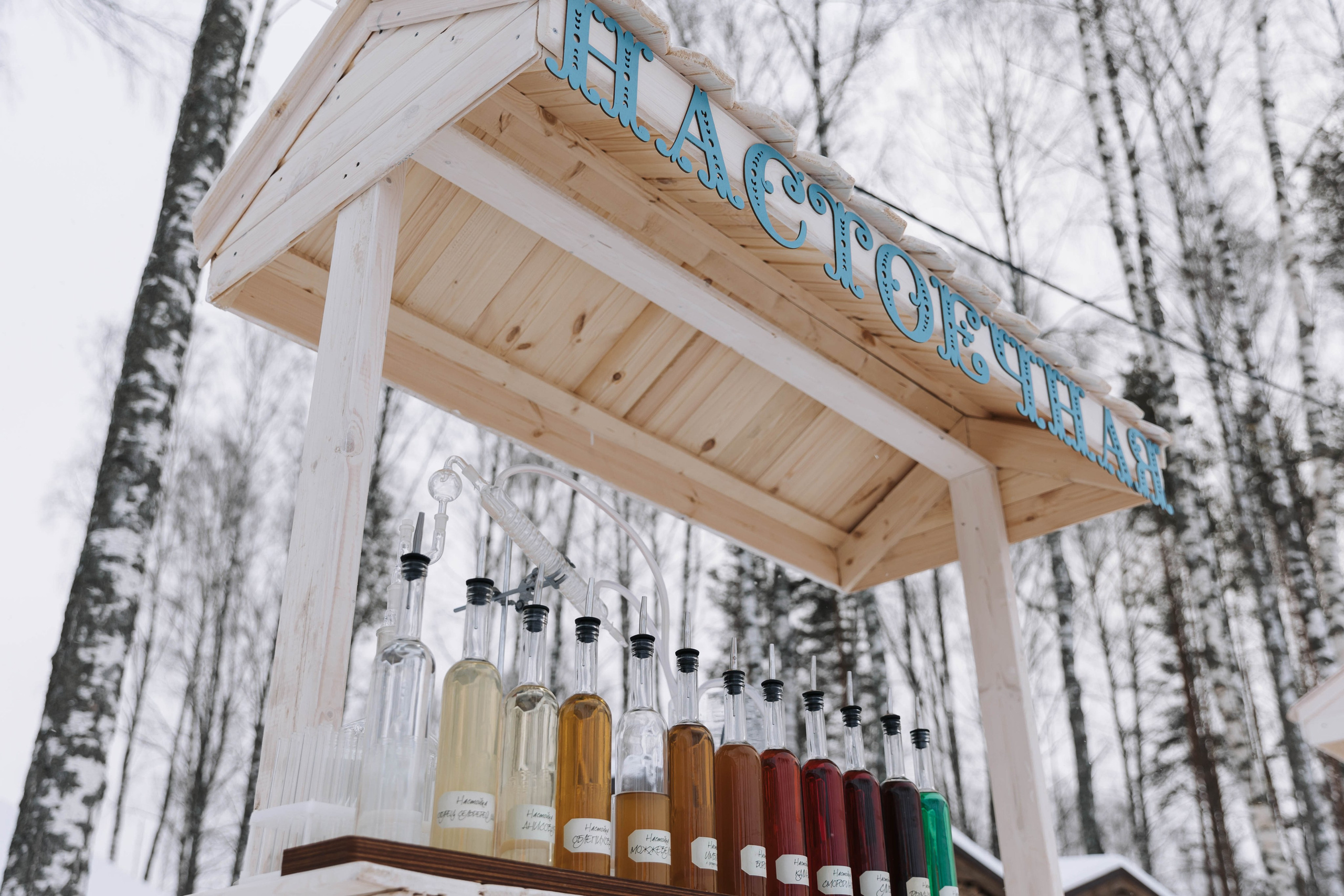 Виноградов. Э Т О М Ы