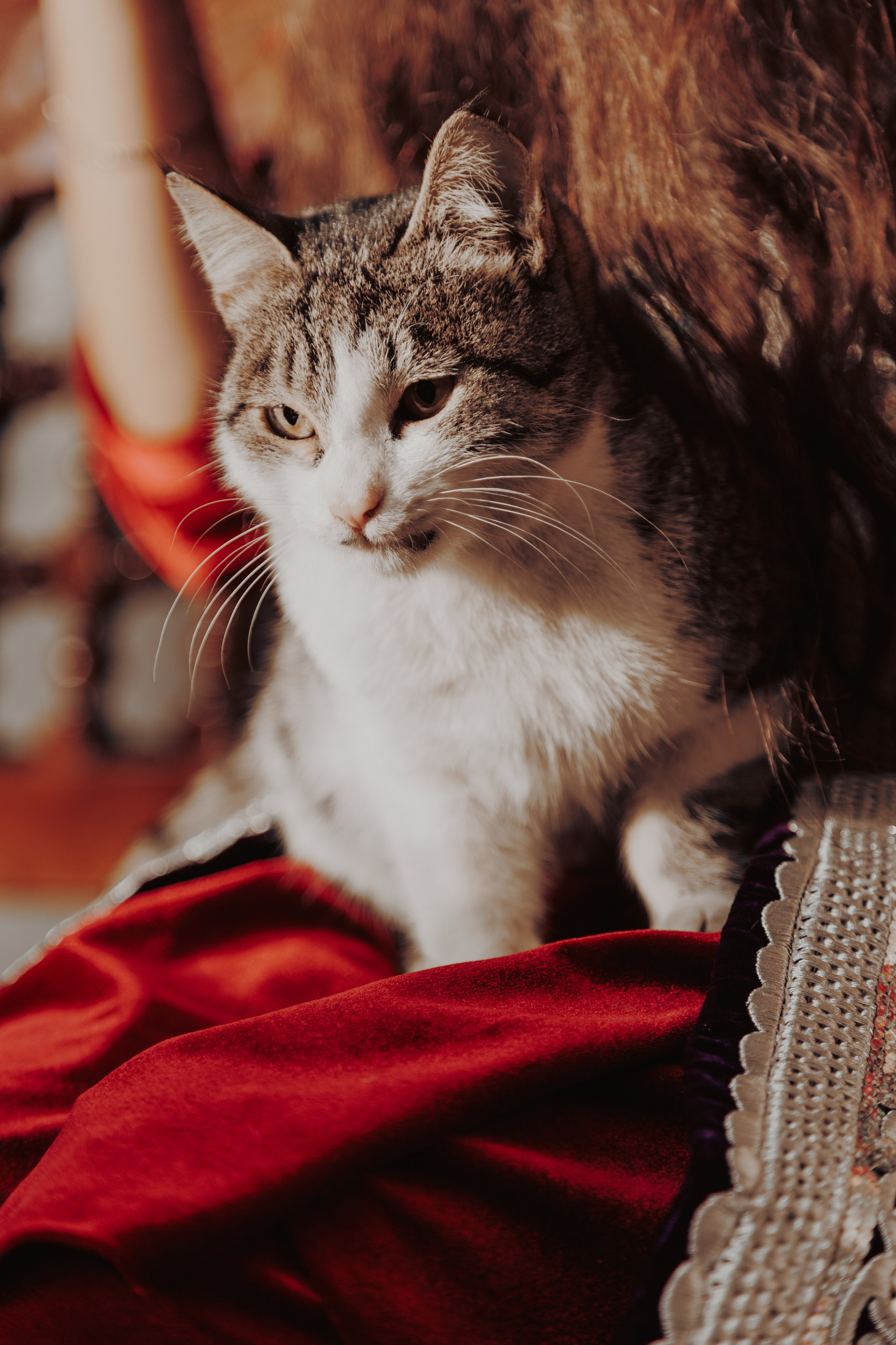 Узбекистан. Креатор Ольга Яш