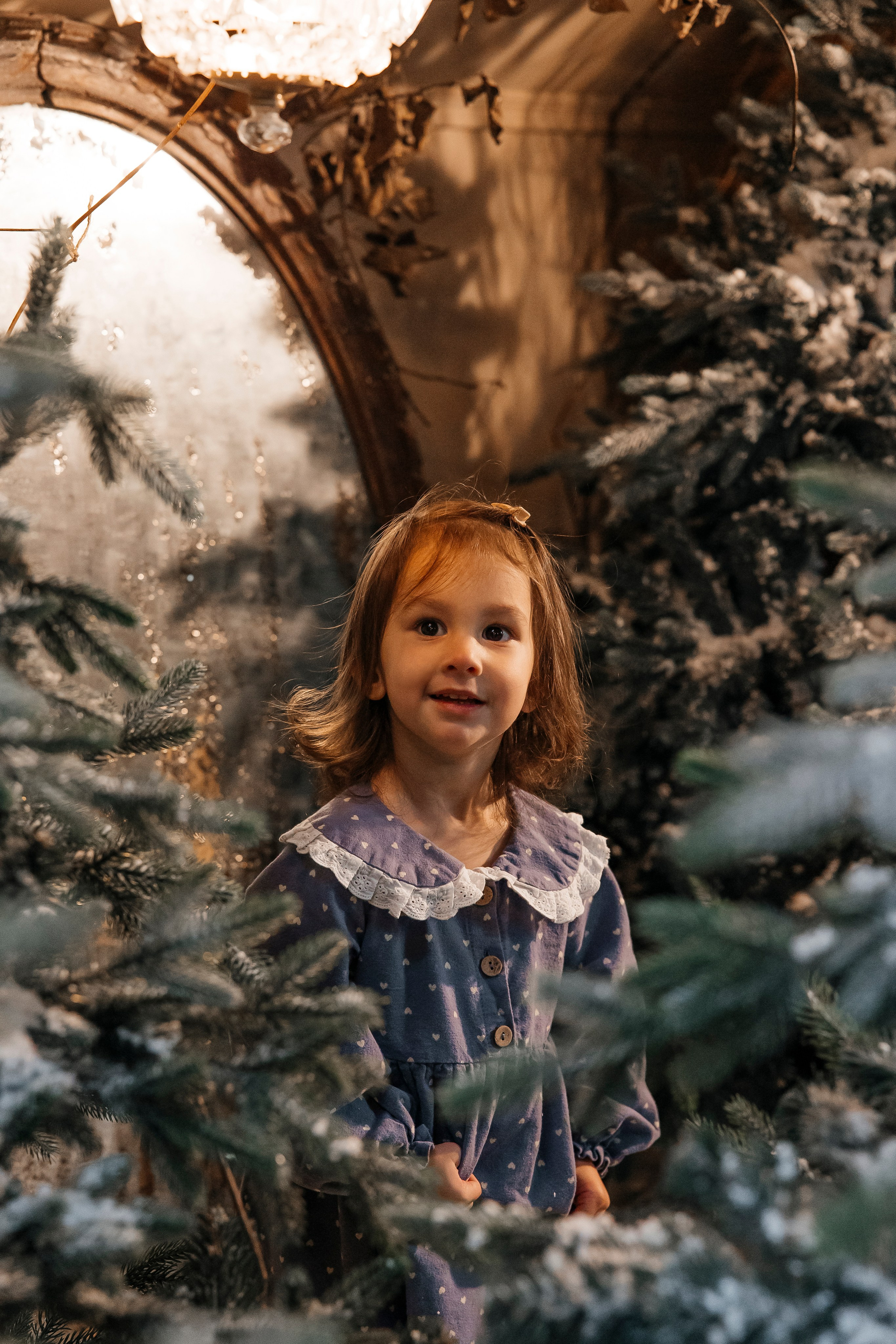 Новогодние чудеса. Сказочный фотограф для Вас и Вашей семьи