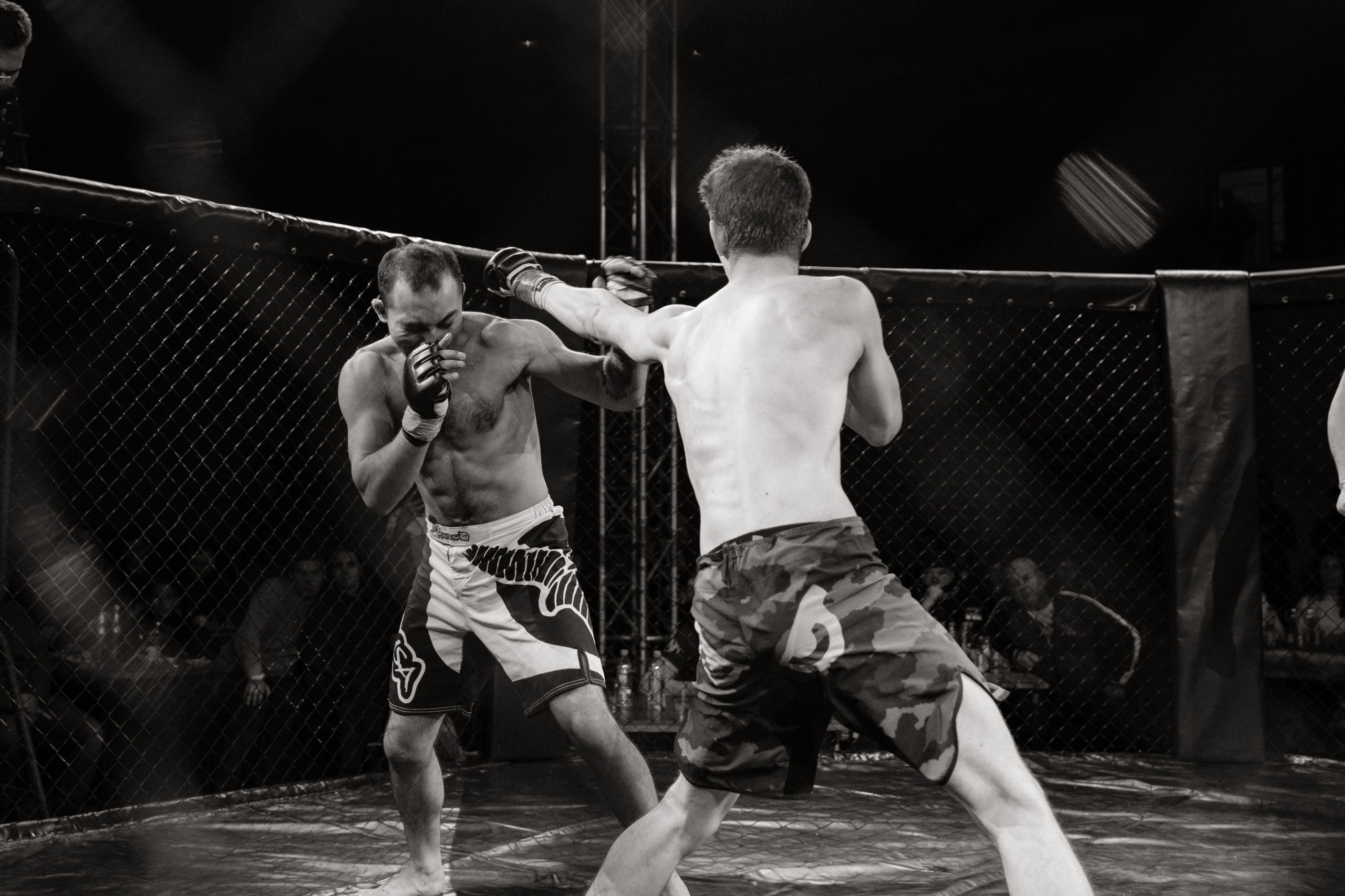 Турнир по ММА «Освобождение» 2023 г. Истра. Свадебный фотограф Фадеева Алёна