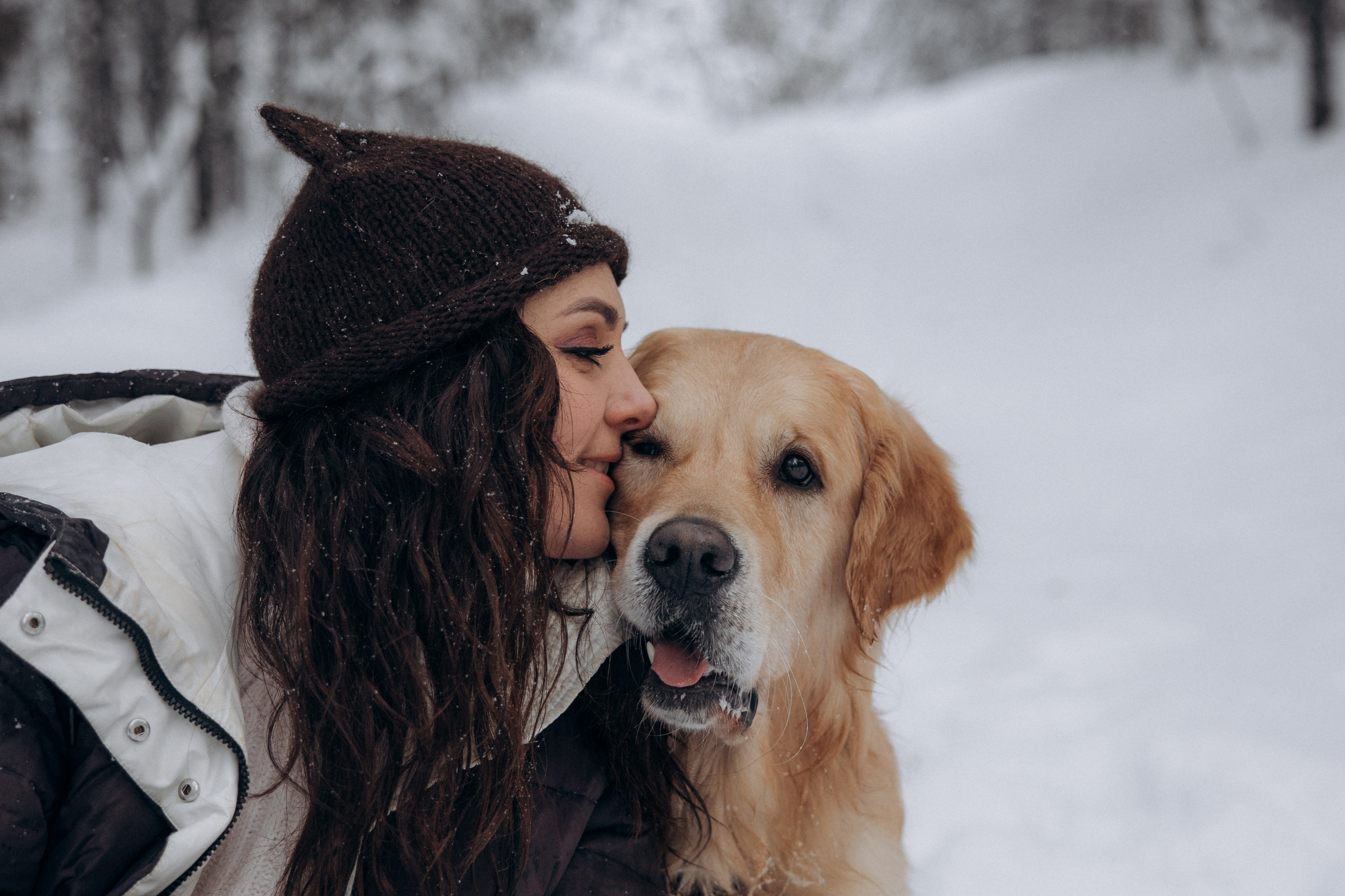 Зимняя история, Света и Чарли. Фотограф анималист в Казани Алина Сулейманова. Фотограф животных
