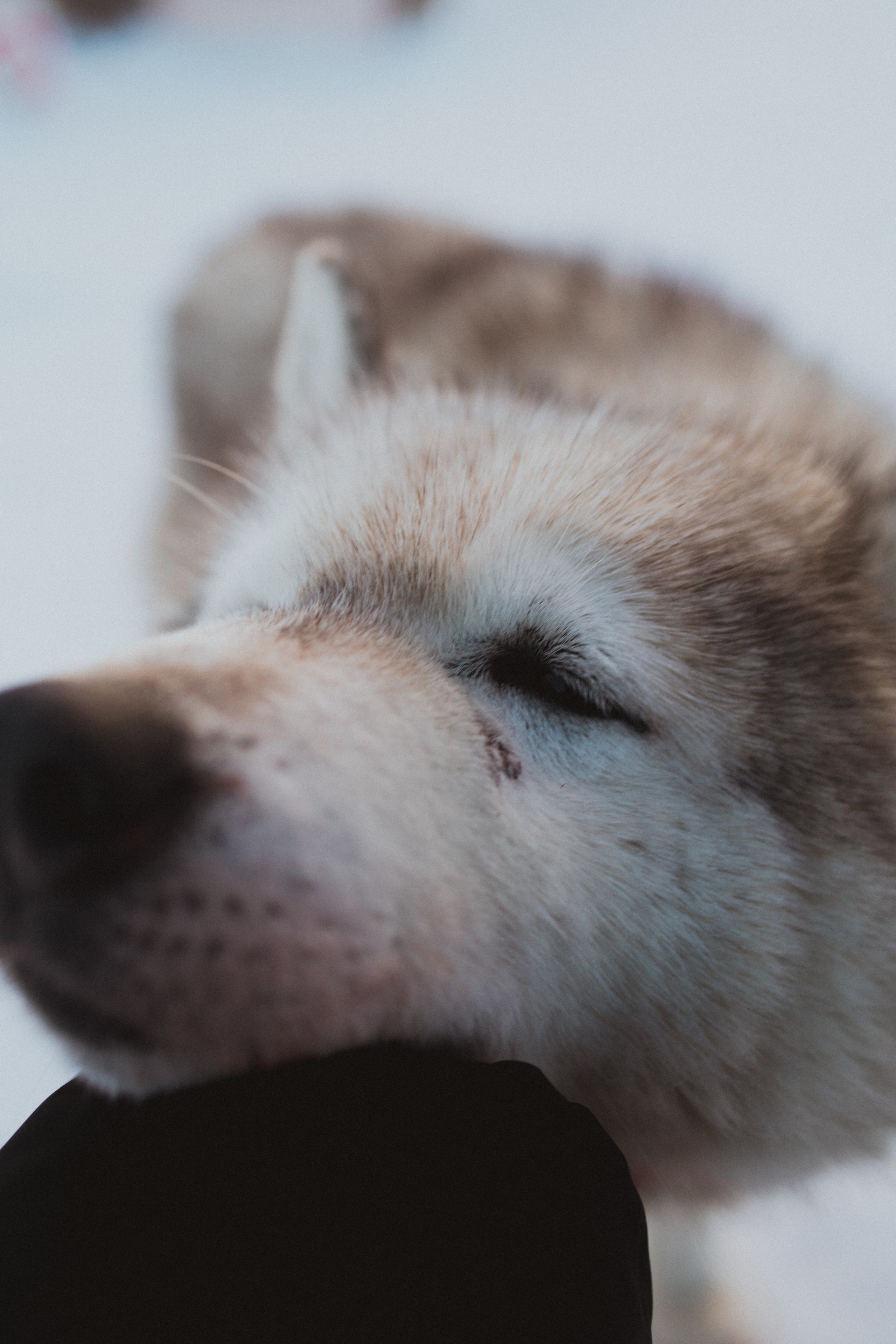 Териберка. Анна Мильч