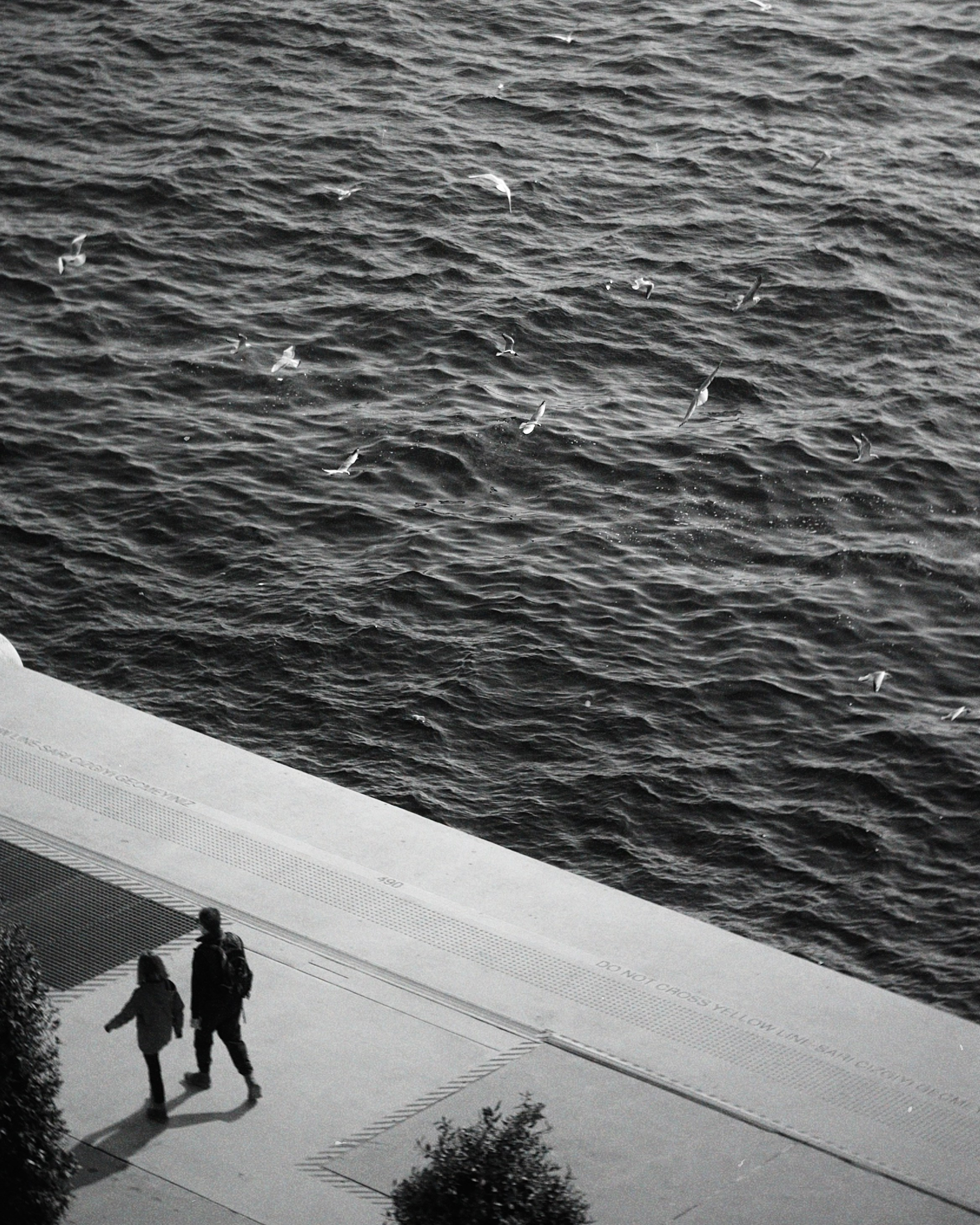 Стамбул. Татьян гертье