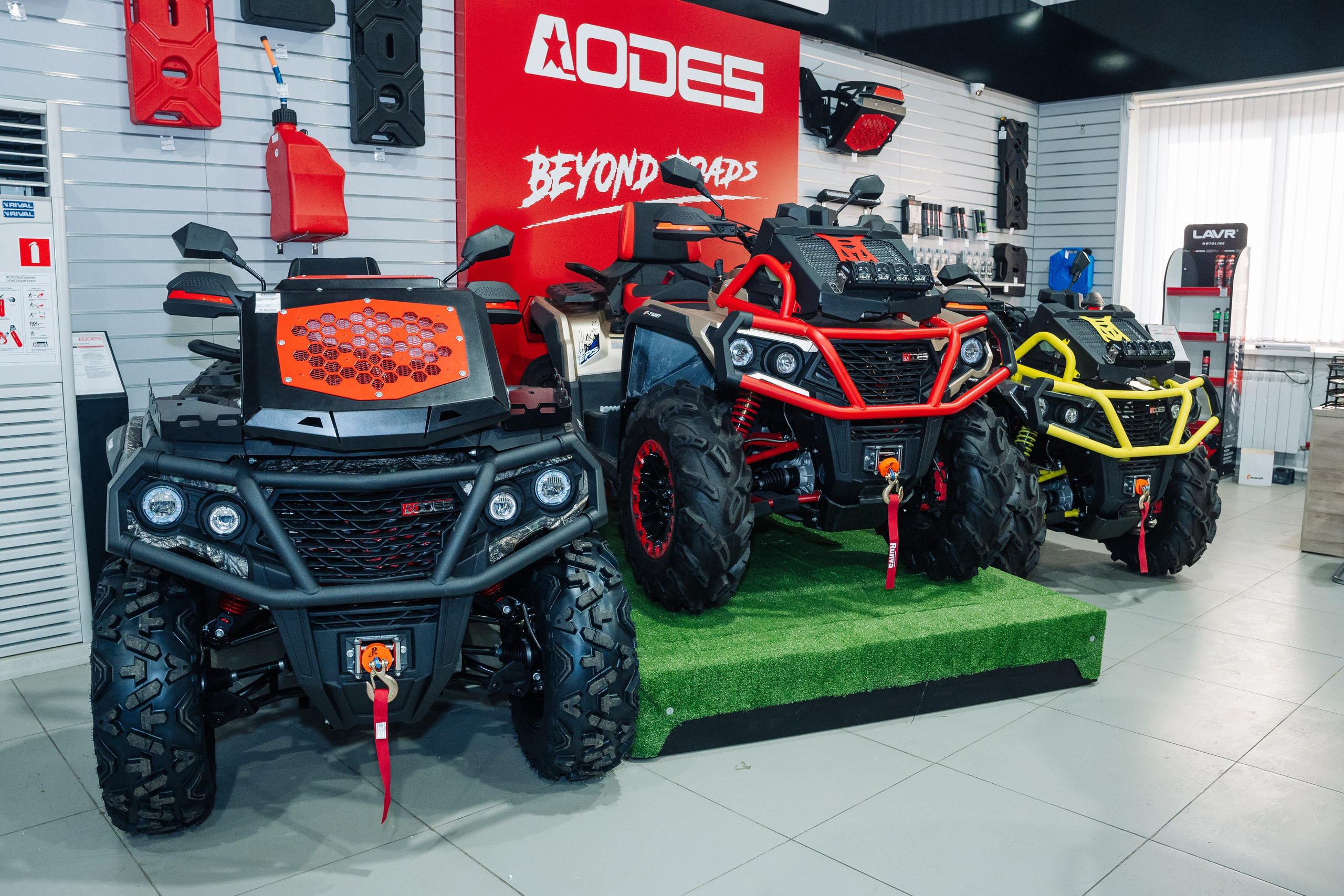 GLADIATOR. Фотограф Хабаровск