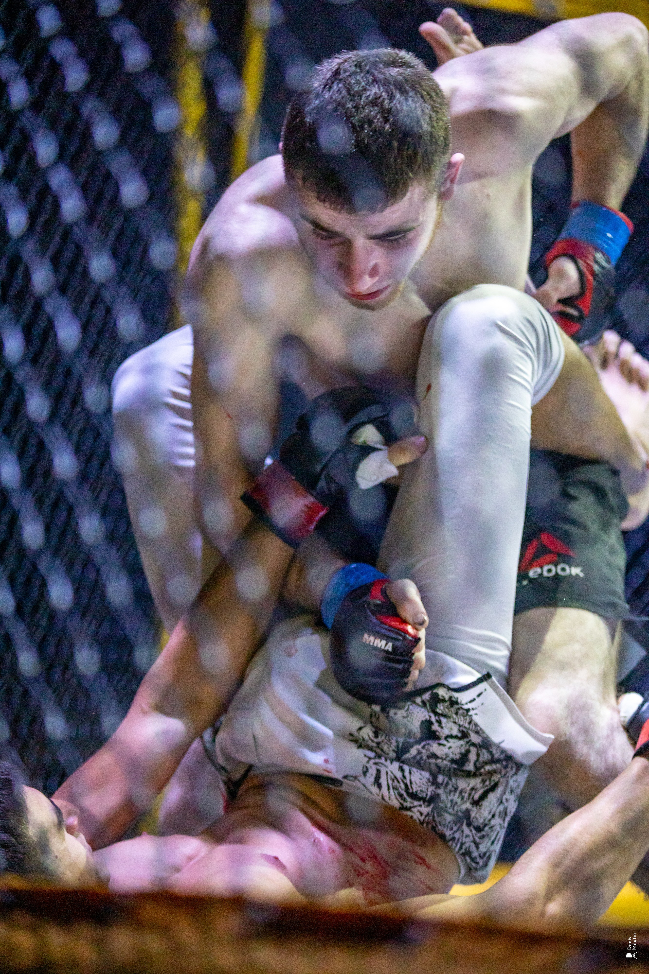 Бои в клетке «Северный Воин». Портретный фотограф Денис Милютин