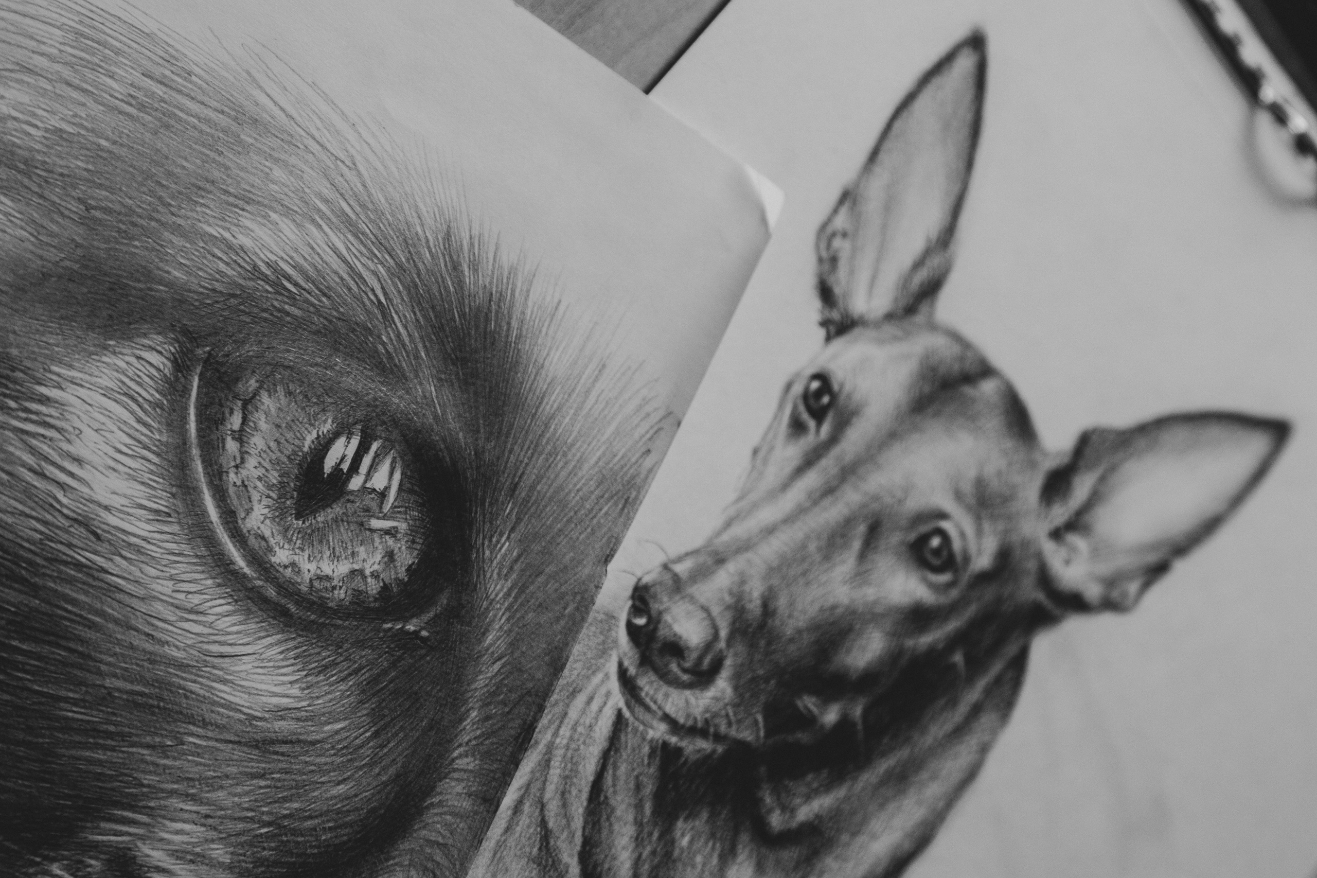 Предметная съемка с Олесей, швейный рабочий процесс. Ирина Чернова — портретный фотограф и маркетолог из Владивостока