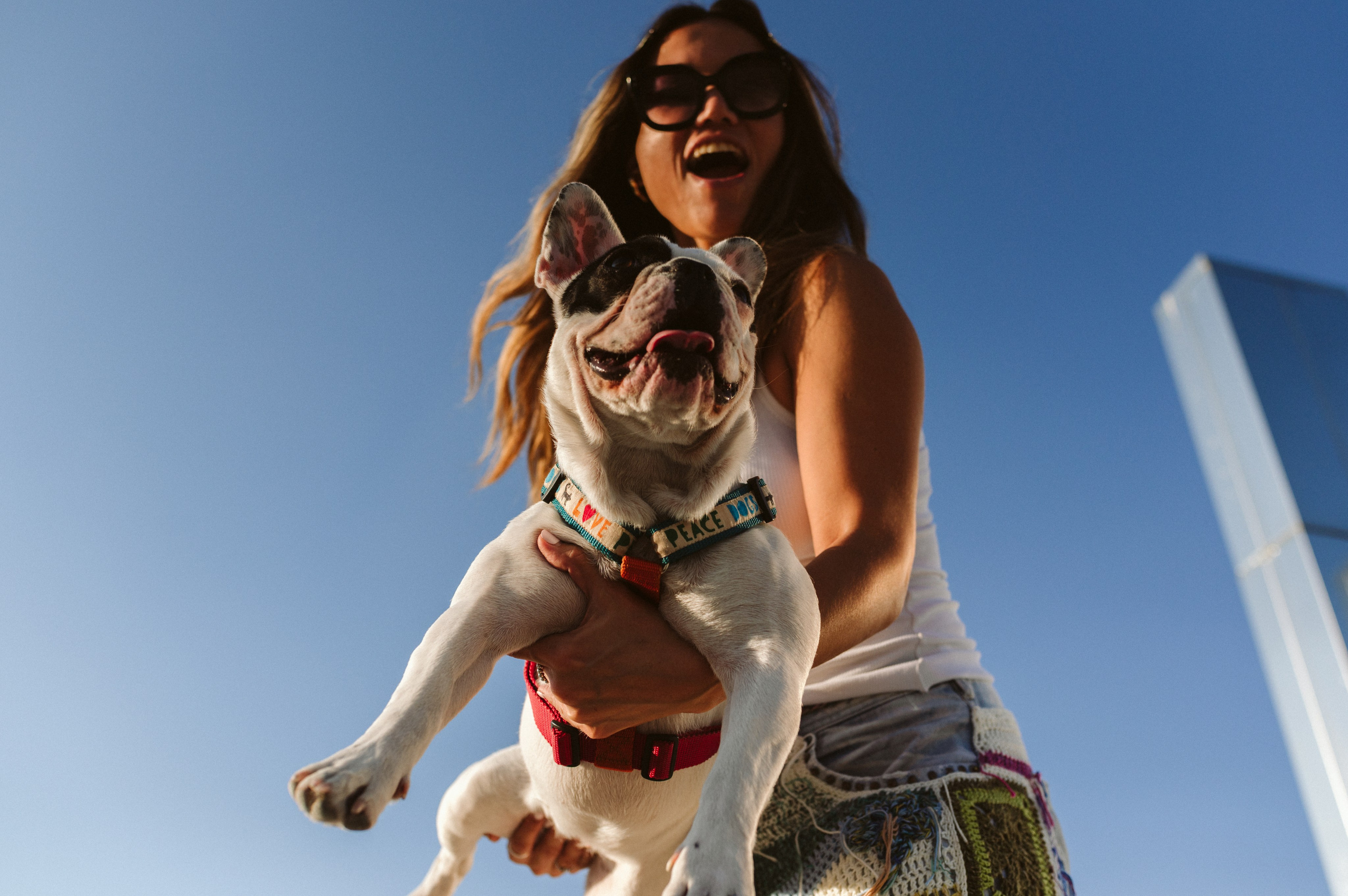 Инна и Белль. Фотограф анималист в Москве Ольга Агушева