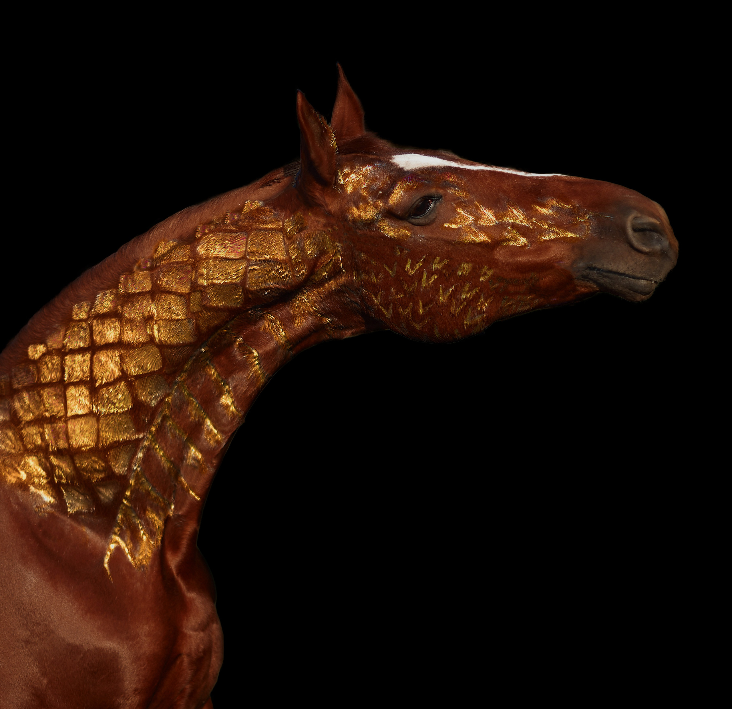 Комфортная. Фотограф в Севастополе