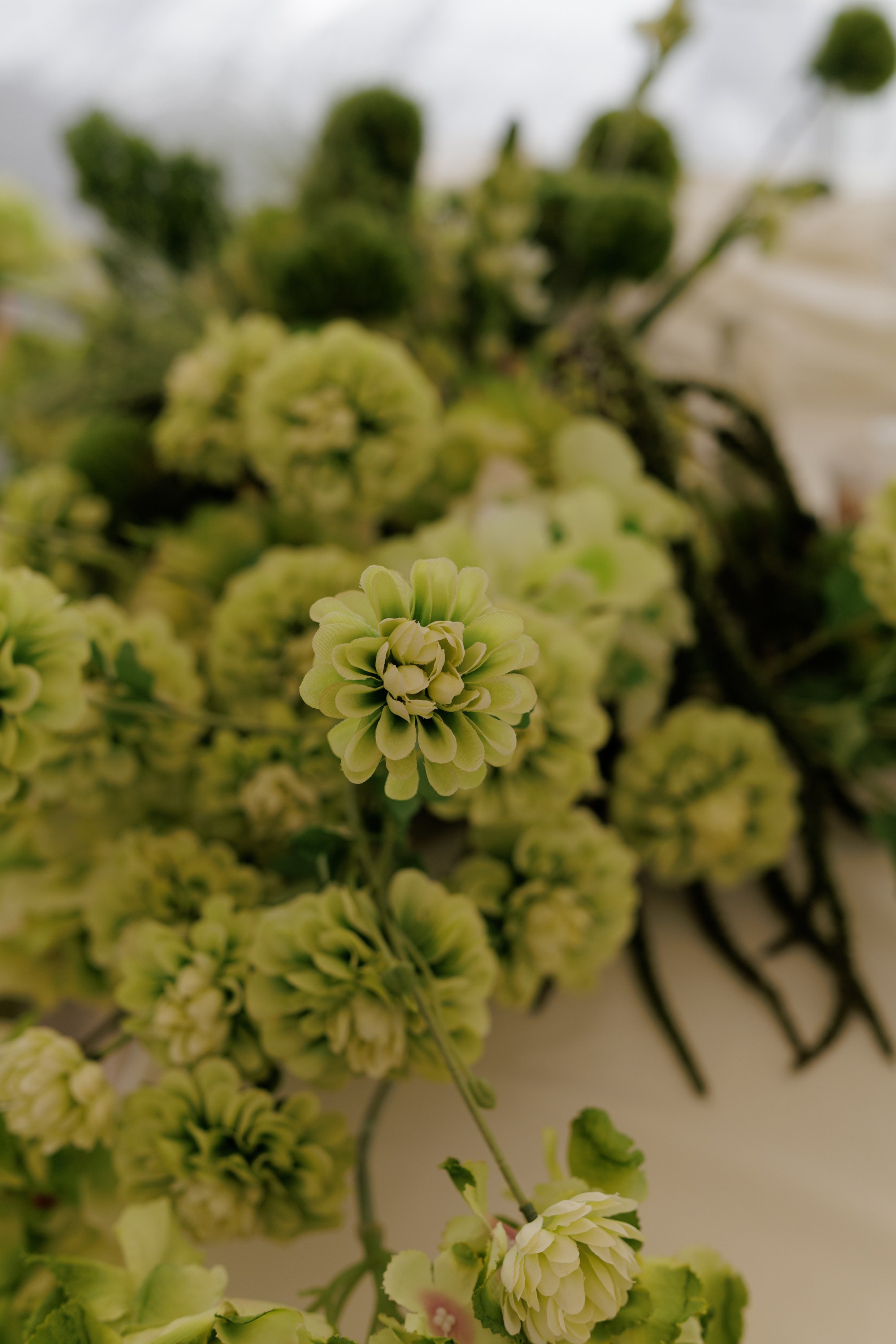 Андрей и Оля. Свадебный фотограф