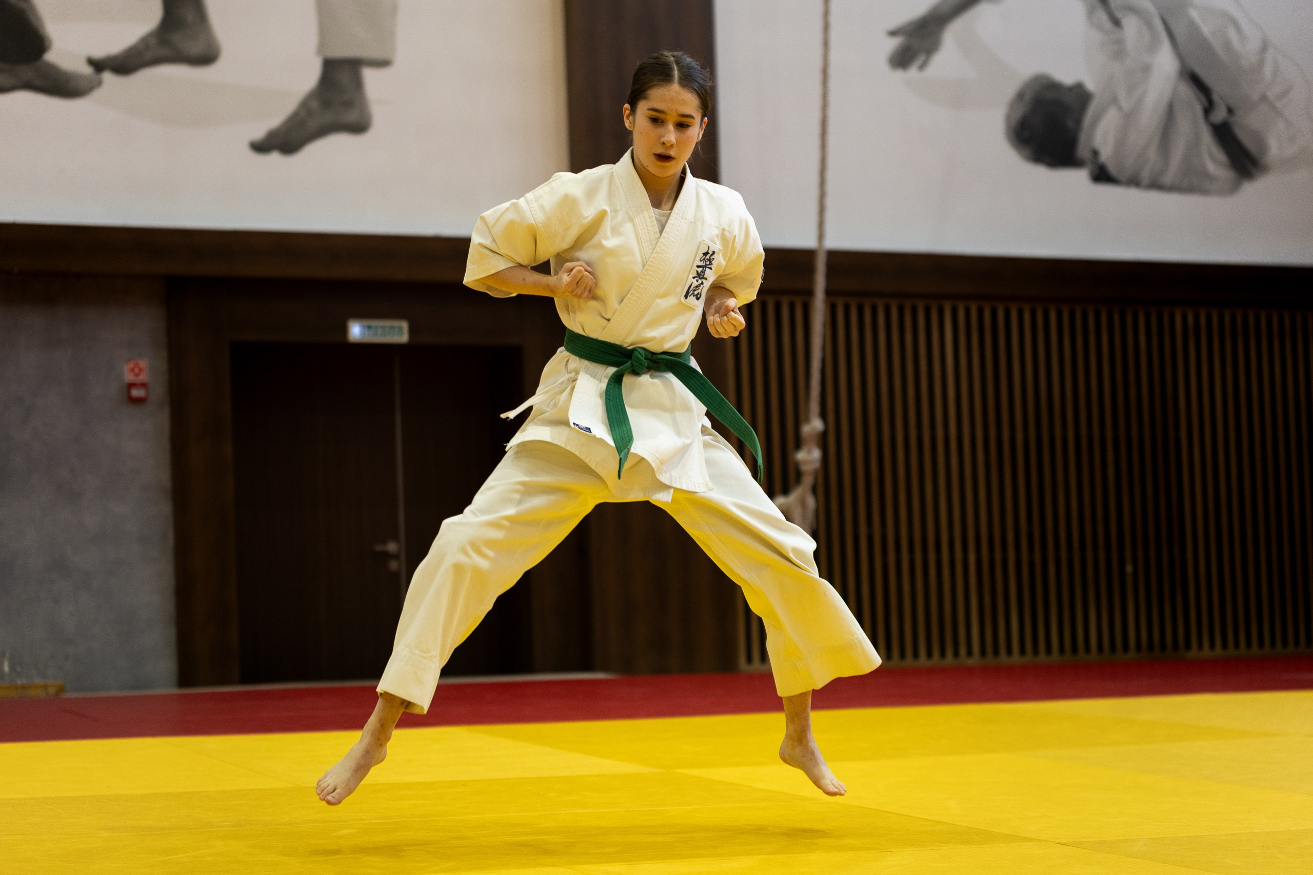 Карате. Ката. Главная