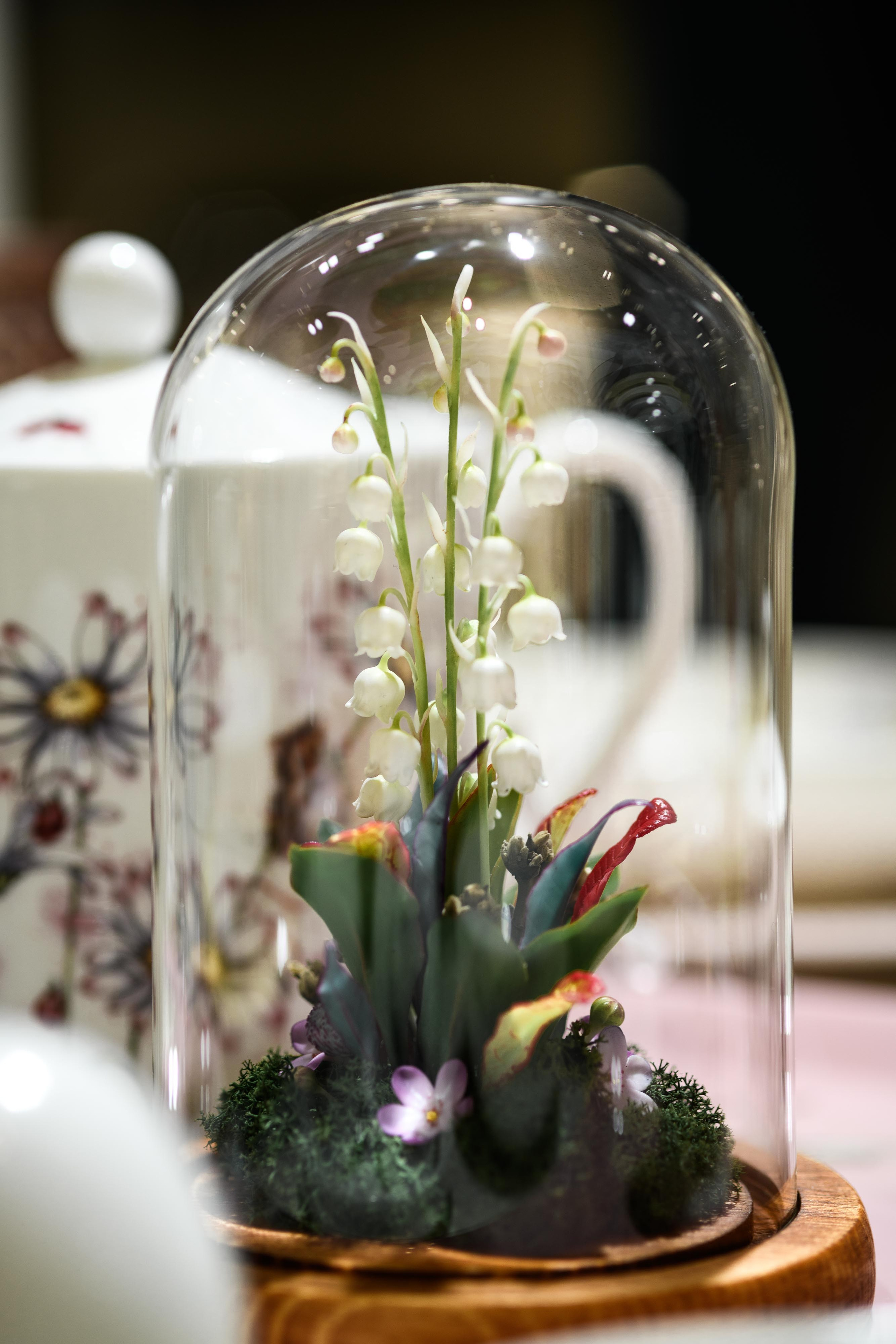 Фотосъёмка лекция по сервировке стола в бутике «Дом фарфора»