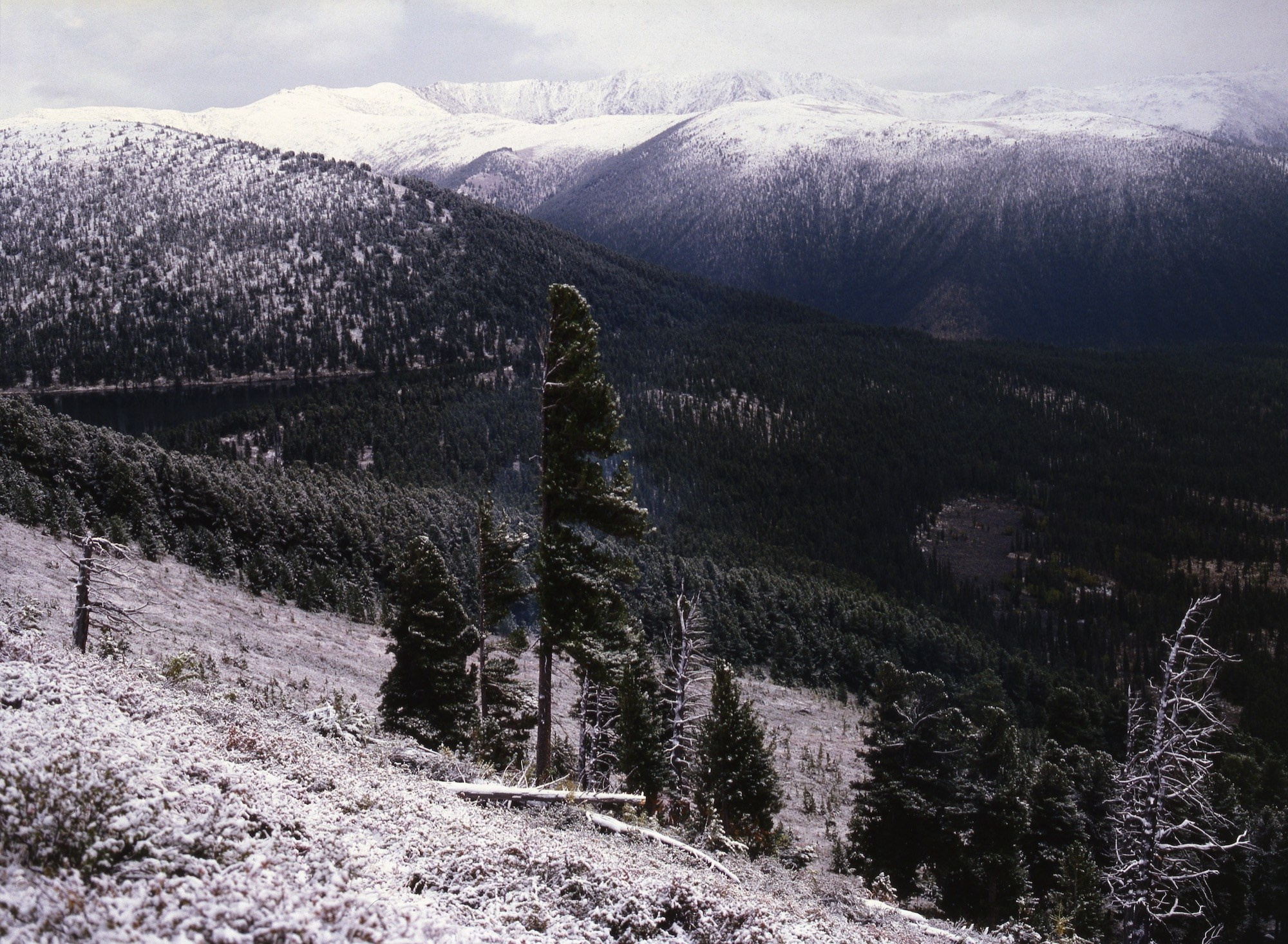 Саяны. ВАДИМ ГИППЕНРЕЙТЕР — ВЕЛИКИЙ ФОТОГРАФ ЗЕМЛИ РУССКОЙ