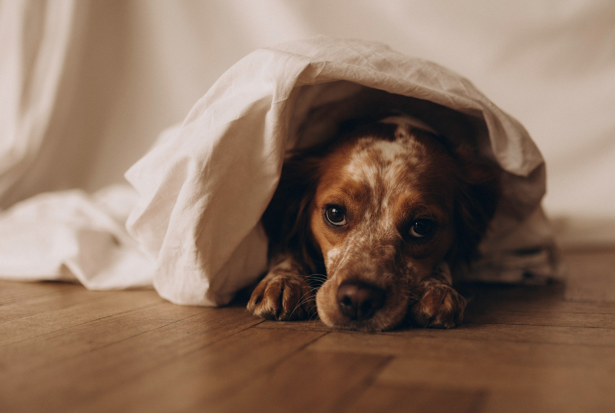 Настя и Уля. Татьяна Афонина | Фотограф