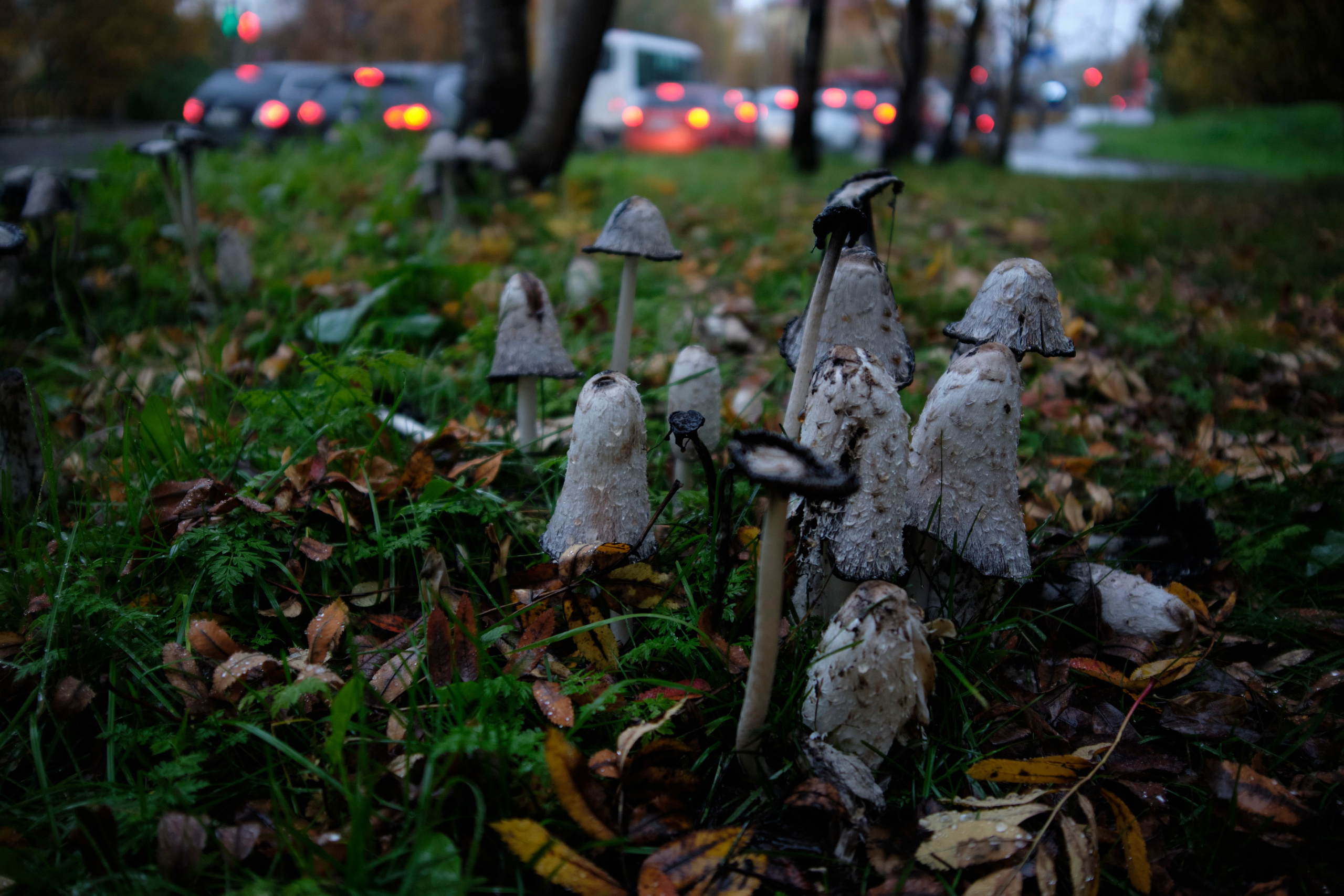 Поездка в Мурманск. Заметки и фото. Елена Павленко. Фотограф. Москва