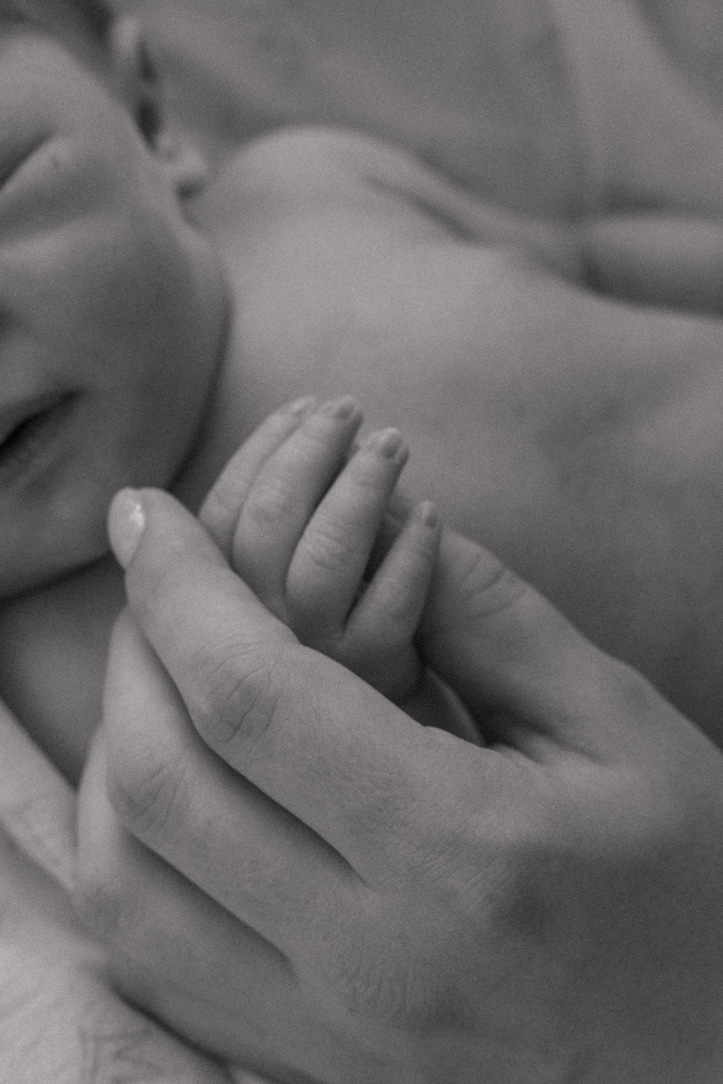 Семейная фотосессия. Фотослужба «Малютка» в Наро-Фоминском перинатальном центре — сохраняем главные мгновения семьи и создаём премиальные фотокниги