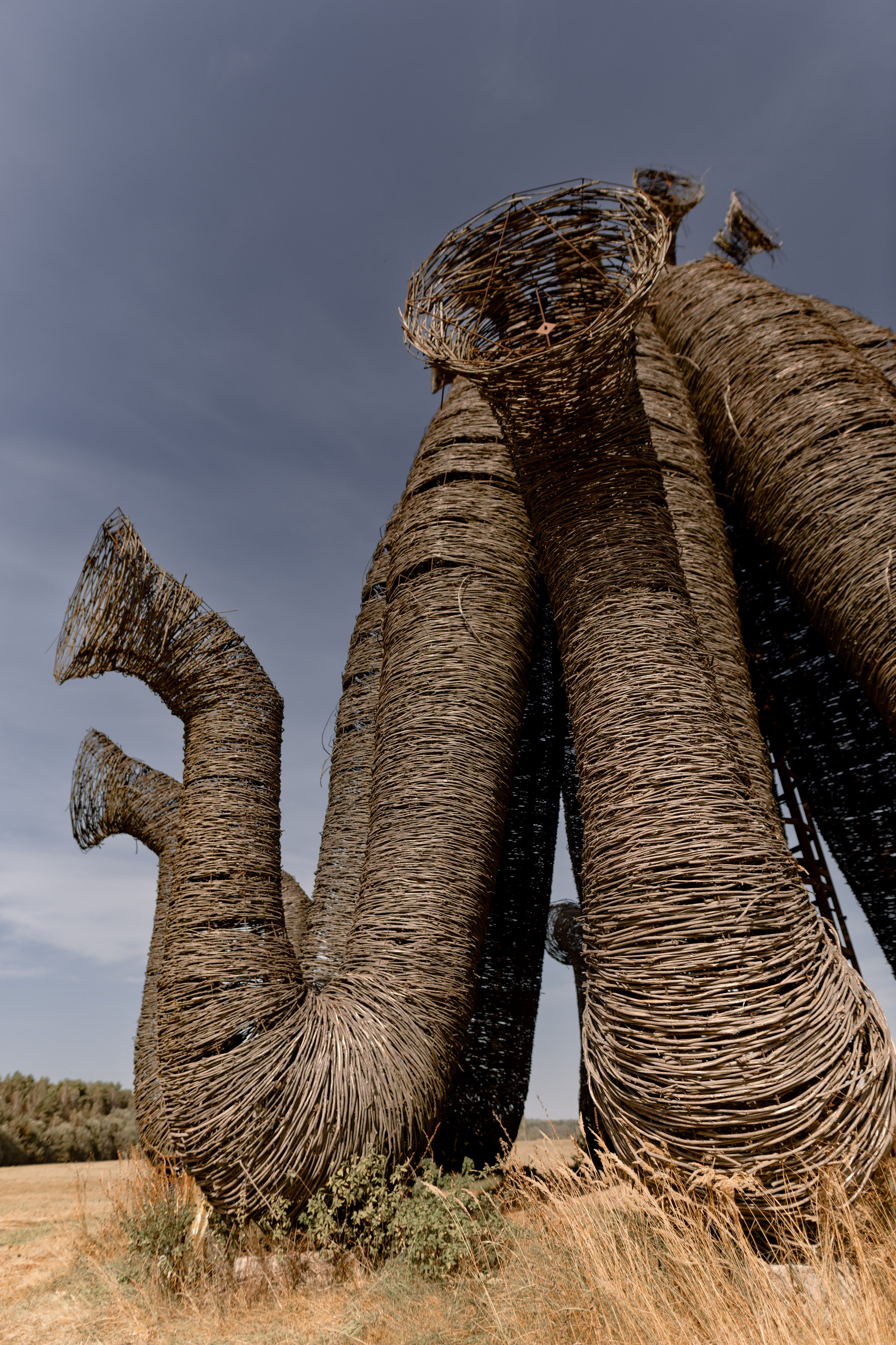 Свадьба Георгия и Анны. Дмитрий Позняк — свадебный фотограф в Брянске. Личный сайт фотографа