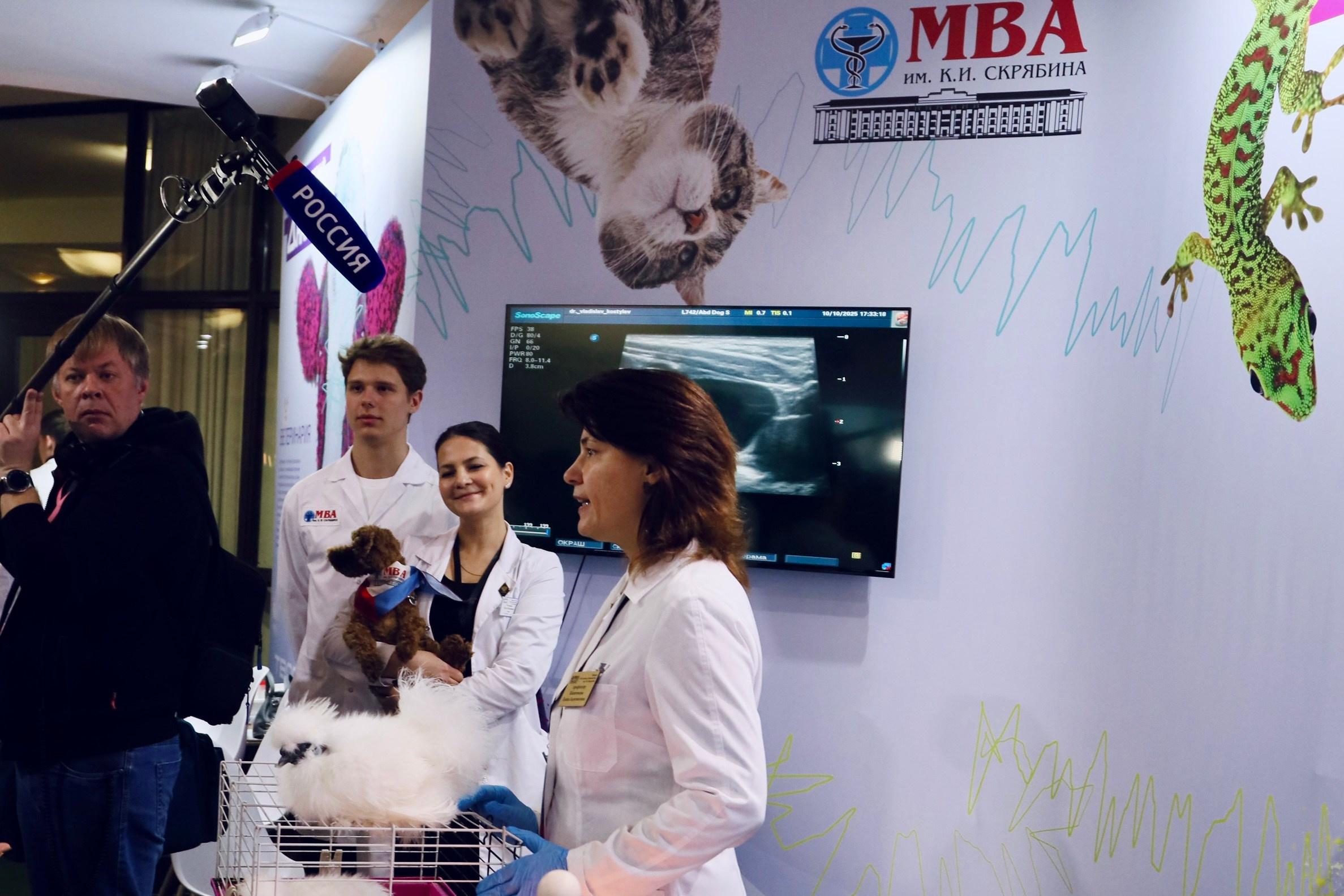 Фестиваль «Наука 0+». Фотосессии и репортаж — Фотограф в Москве — Рина Серёгина