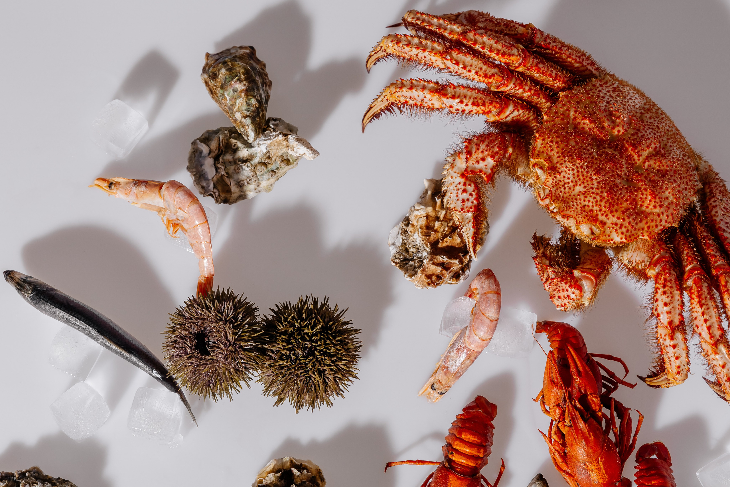 Splash.sea. Профессиональный фотограф Инесса Новикова в Москве