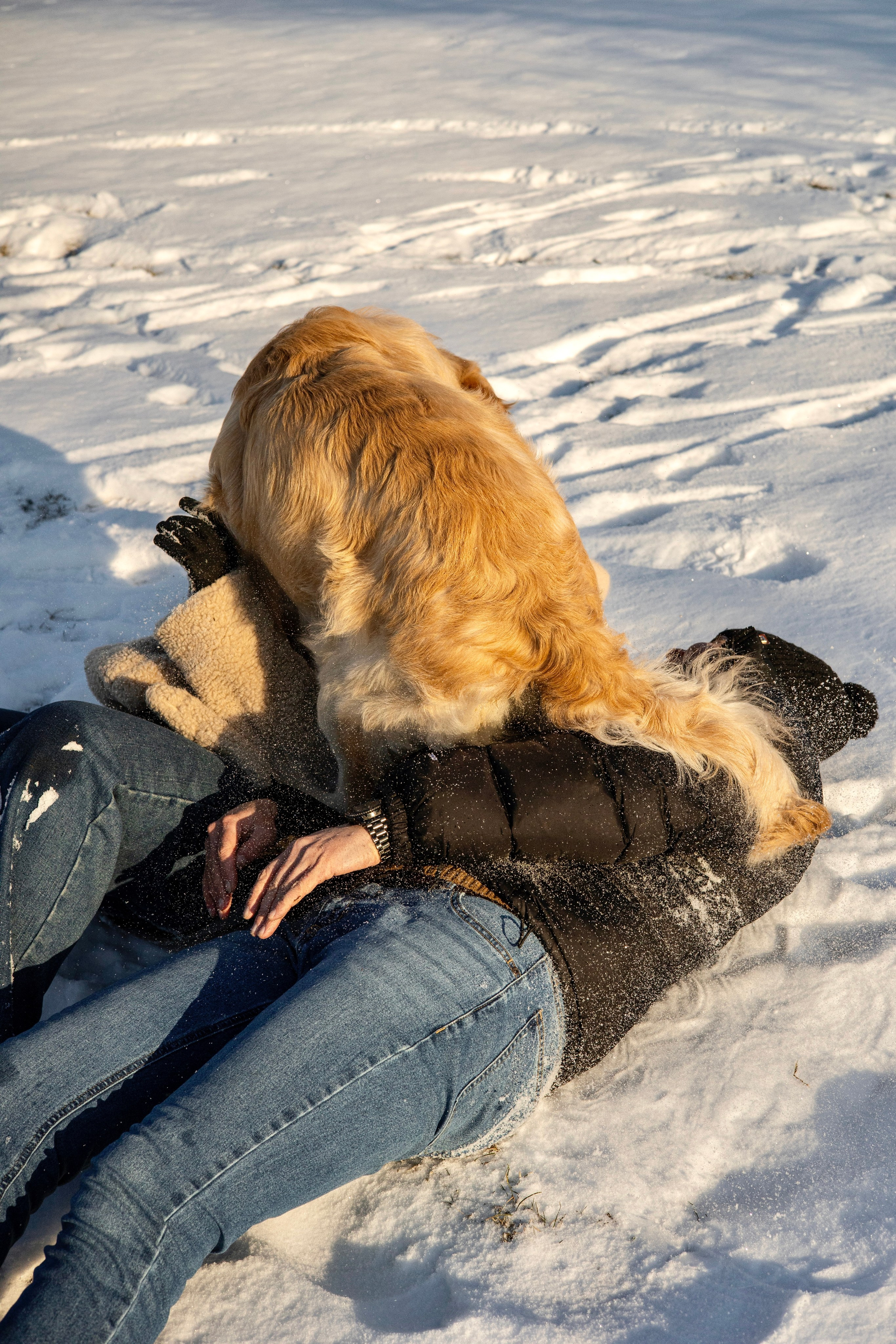 Ларри и его семья. Фотограф-анималист Ксения Шевцова|Москва