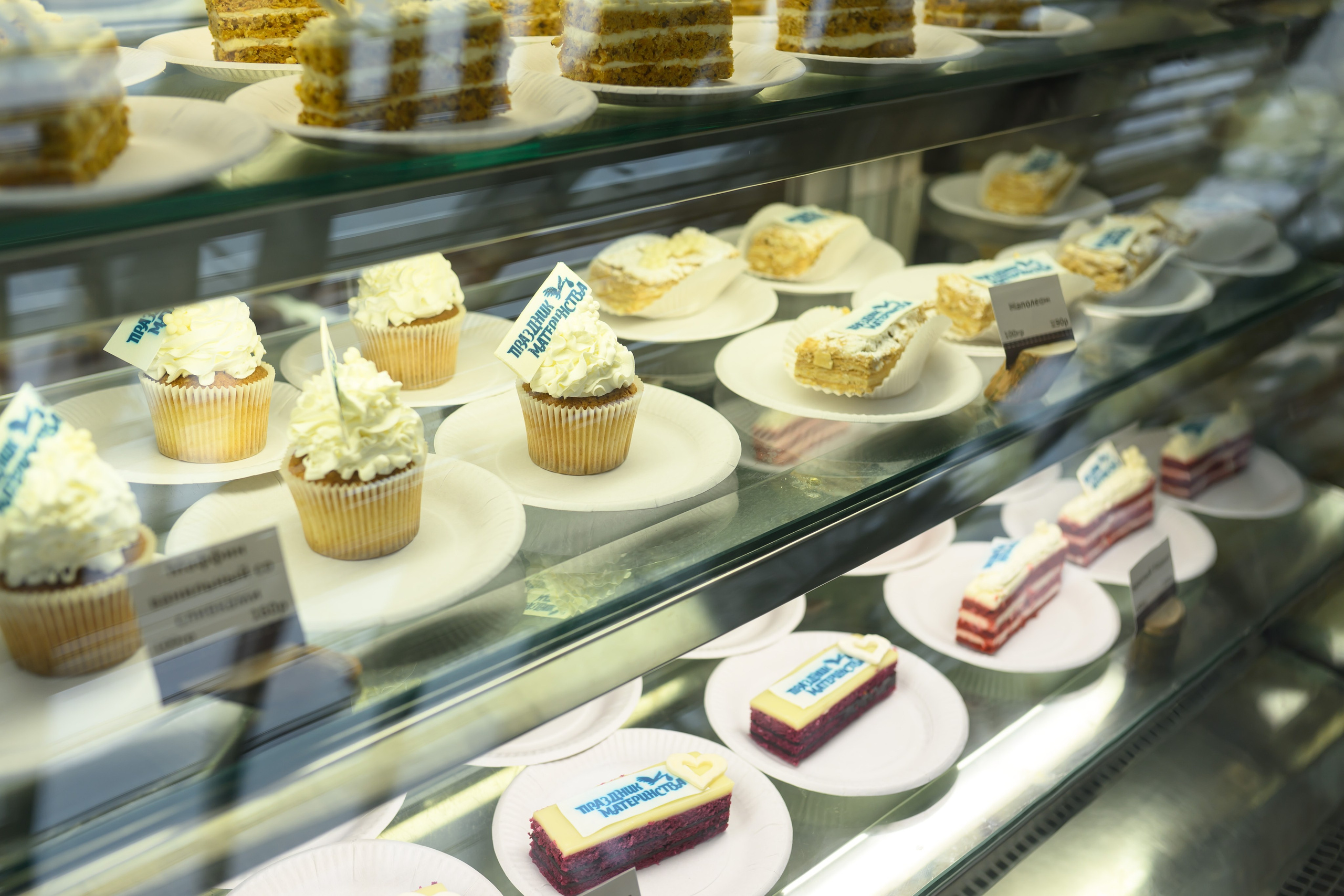 Праздник материнства ноябрь 2025. Профессиональный фотограф Елена Красилина г.Ярославль, г. Рыбинск