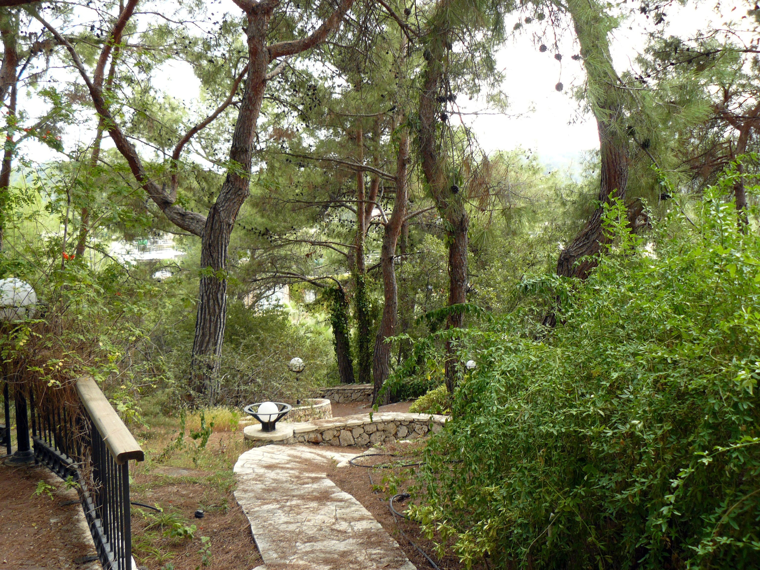 Кемер, Чамьюва 2008. Избранные фотографии