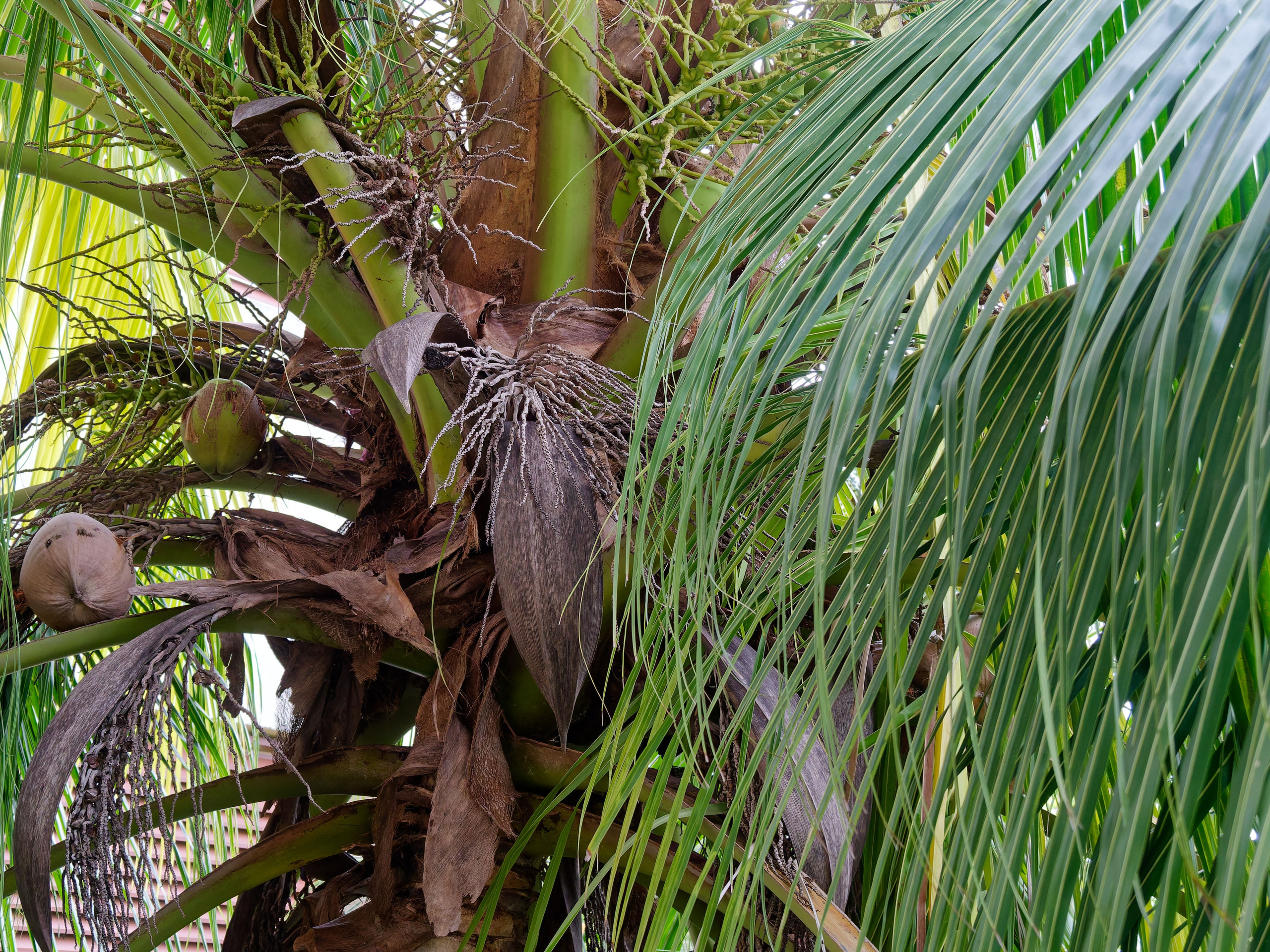 Хайнань 2026, первые впечатления. Фотопрогулки по Миру