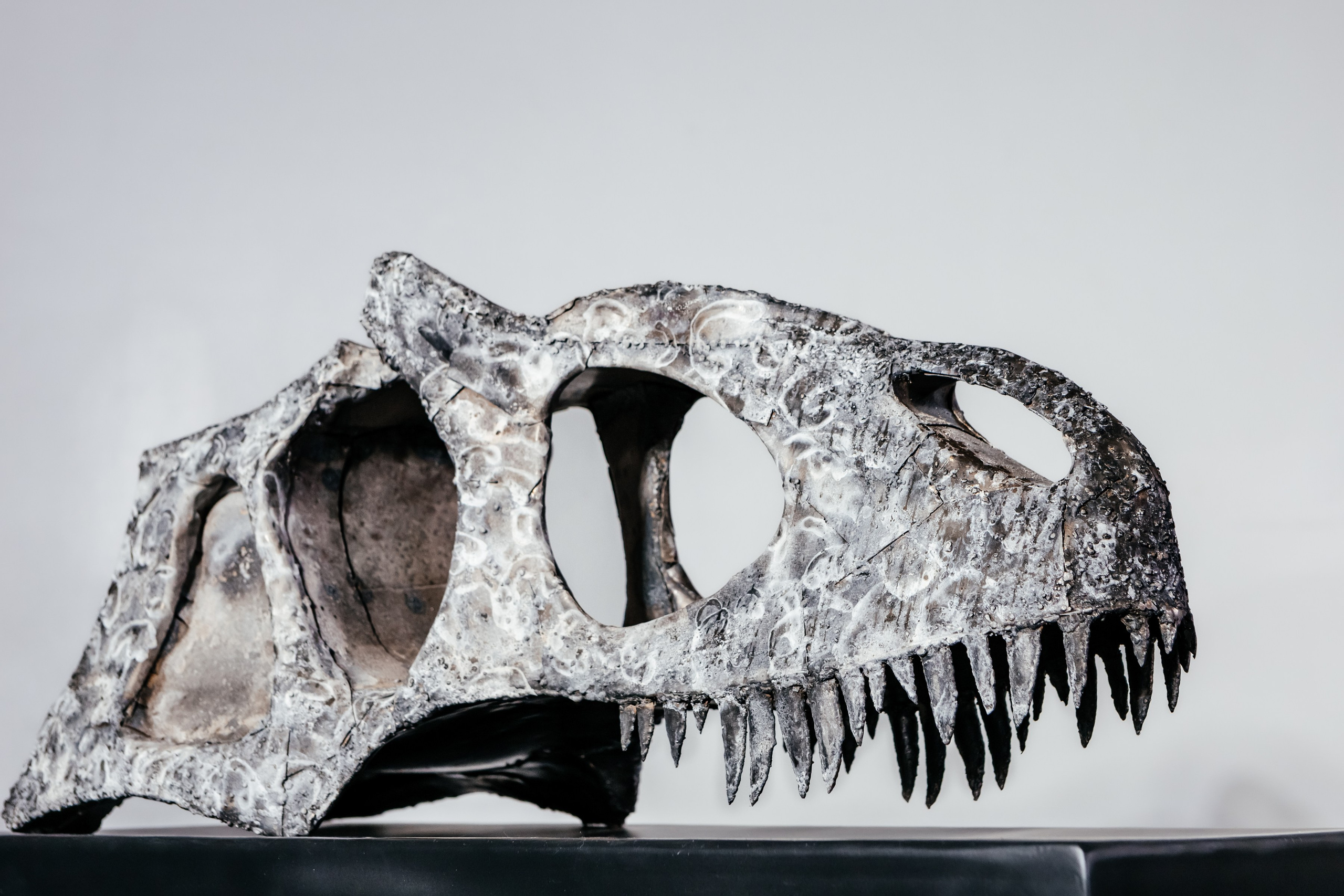 Скульптуры. Михаил Серёдкин. Фотограф в Красноярске Оксана Корчагина