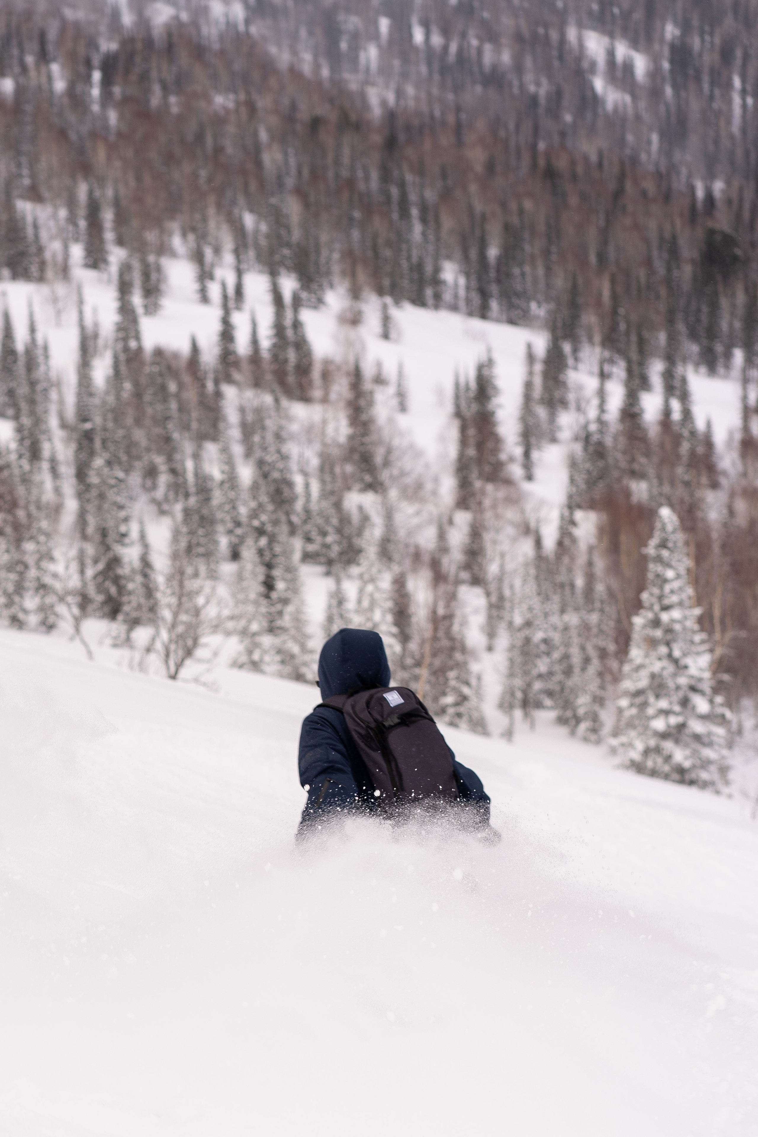Фрирайд. Анастасия Паршукова — фотограф Шерегеш Новосибирск