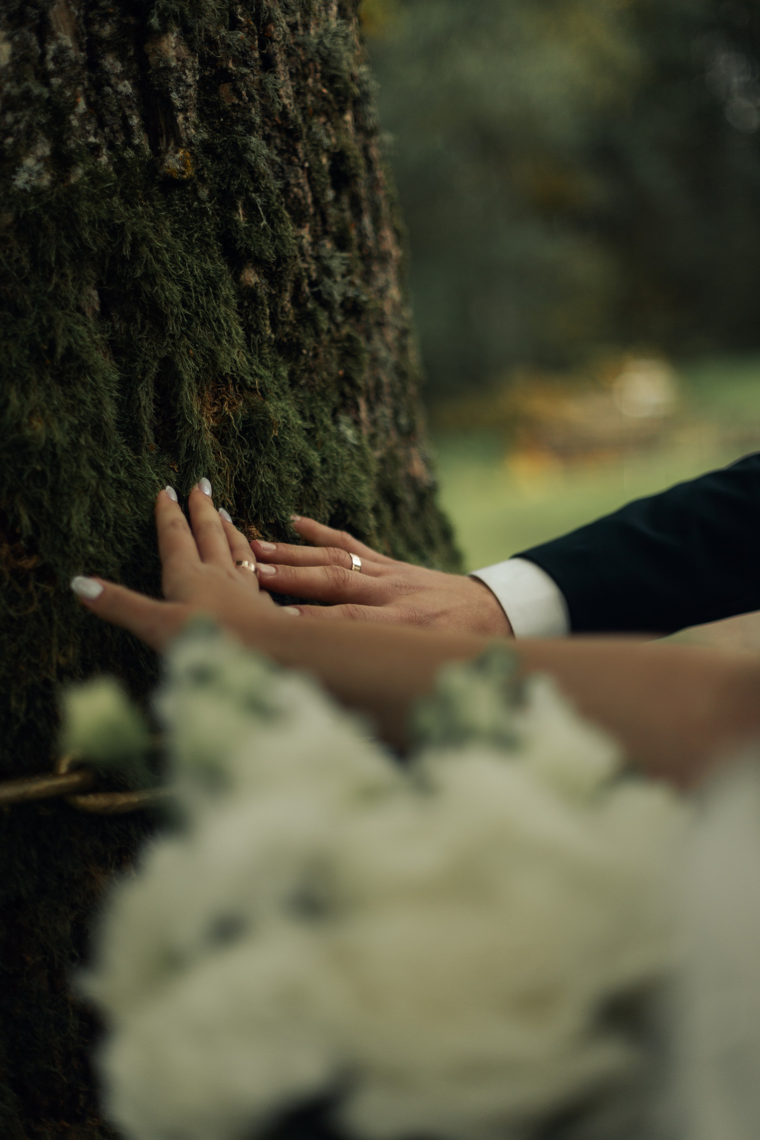 WEDDING W&K. ABRAZ