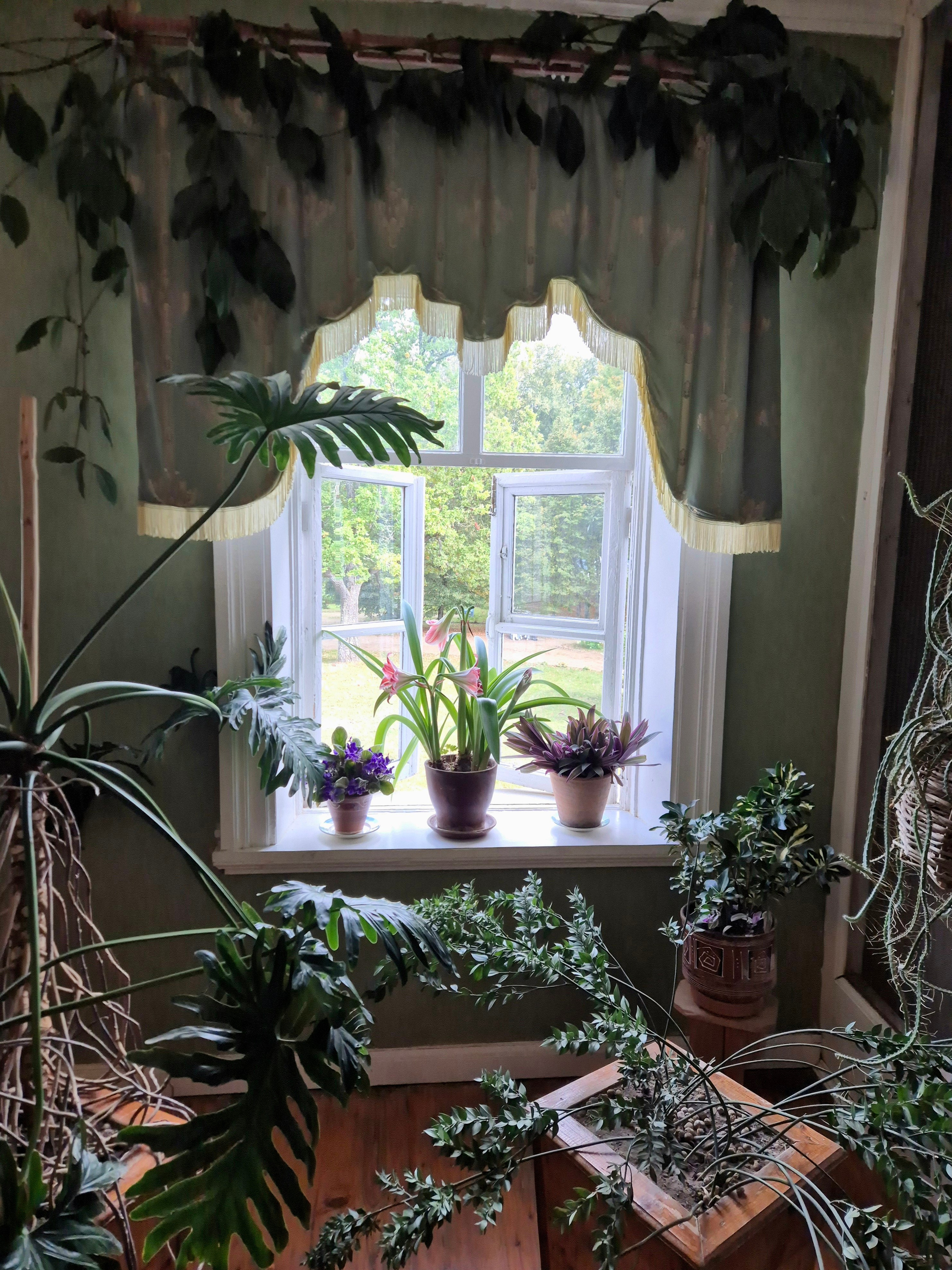 Здесь он родился, впитал народную музыку, но окончательно проникся ей после услышанного концерта в 11 лет. Произнес фразу, определившую всю его жизнь: "Музыка – душа моя"