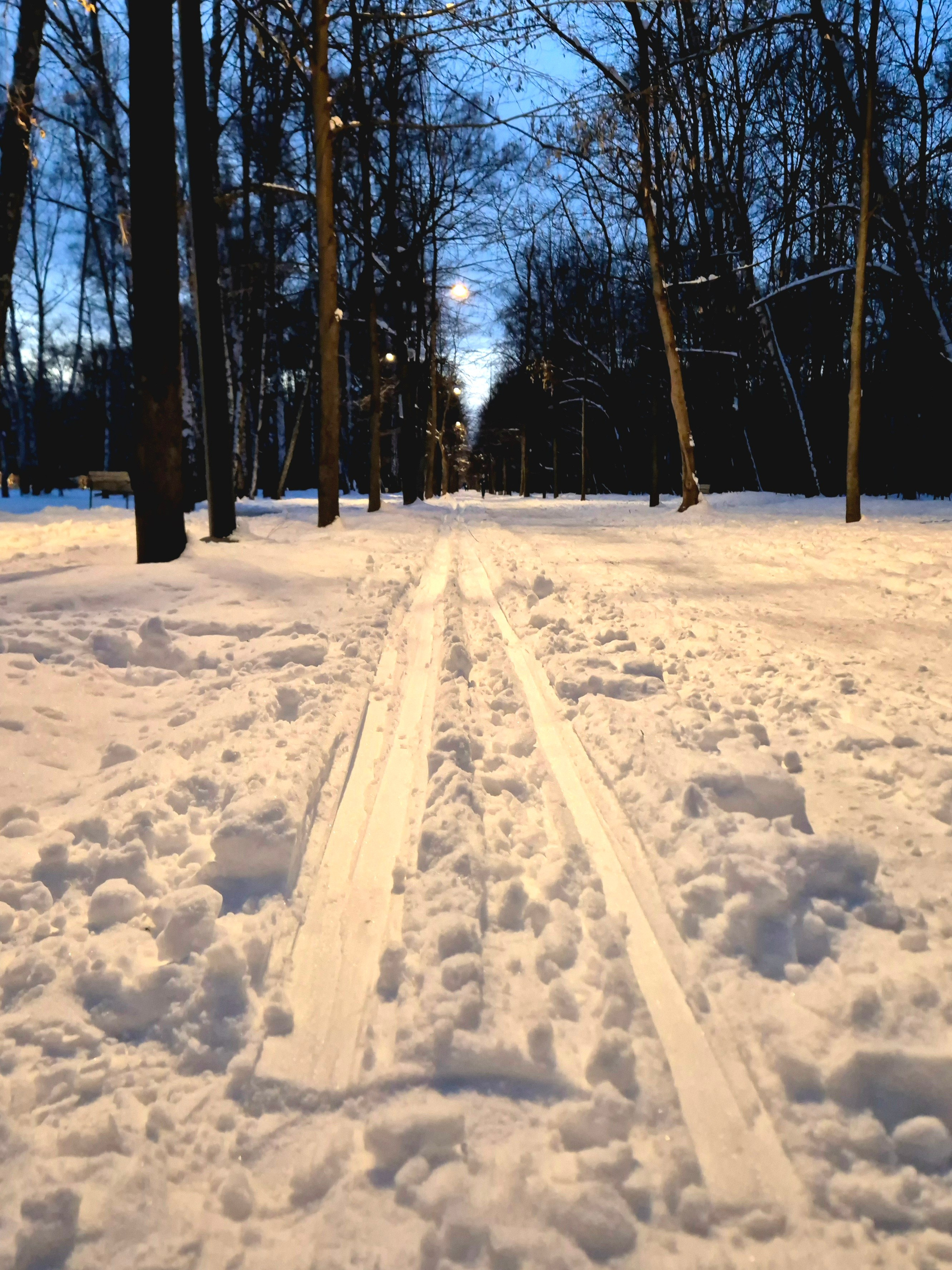 Лыжня 9 апреля и тренирующиеся лыжники - навеяли воспоминания детства. Мы так же бегали до последнего, правда в лесах Подмосковья