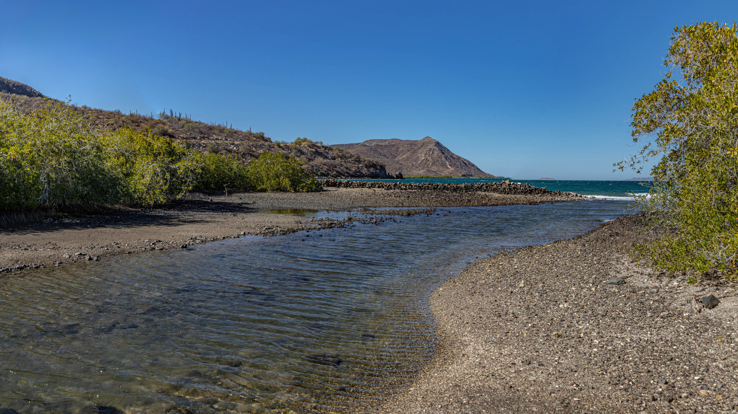 Нижняя Калифорния Playa Buenaventura. Фотограф Лара Кучина