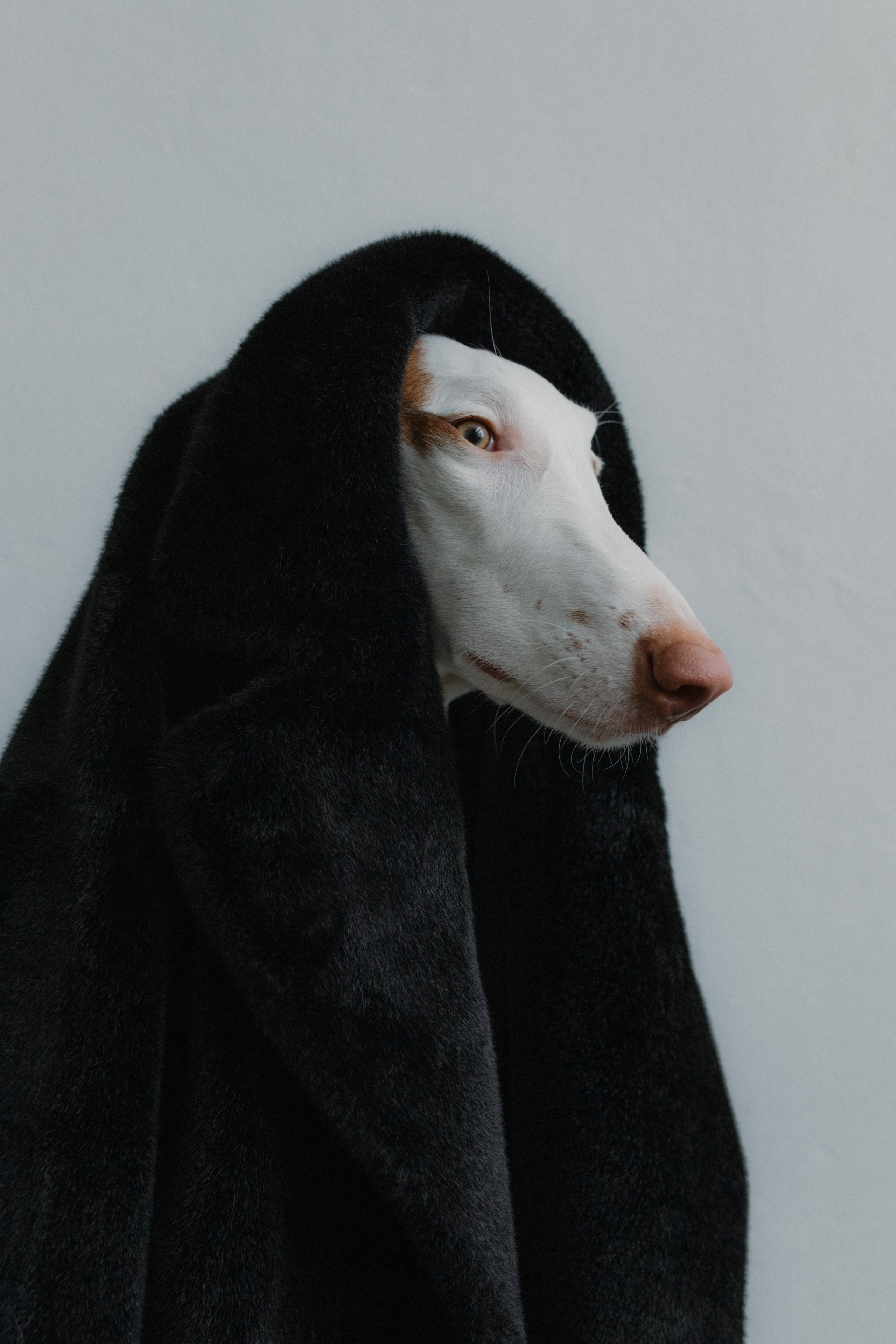 Lera Vaytova. Фотограф Москва Дмитрий Курасов