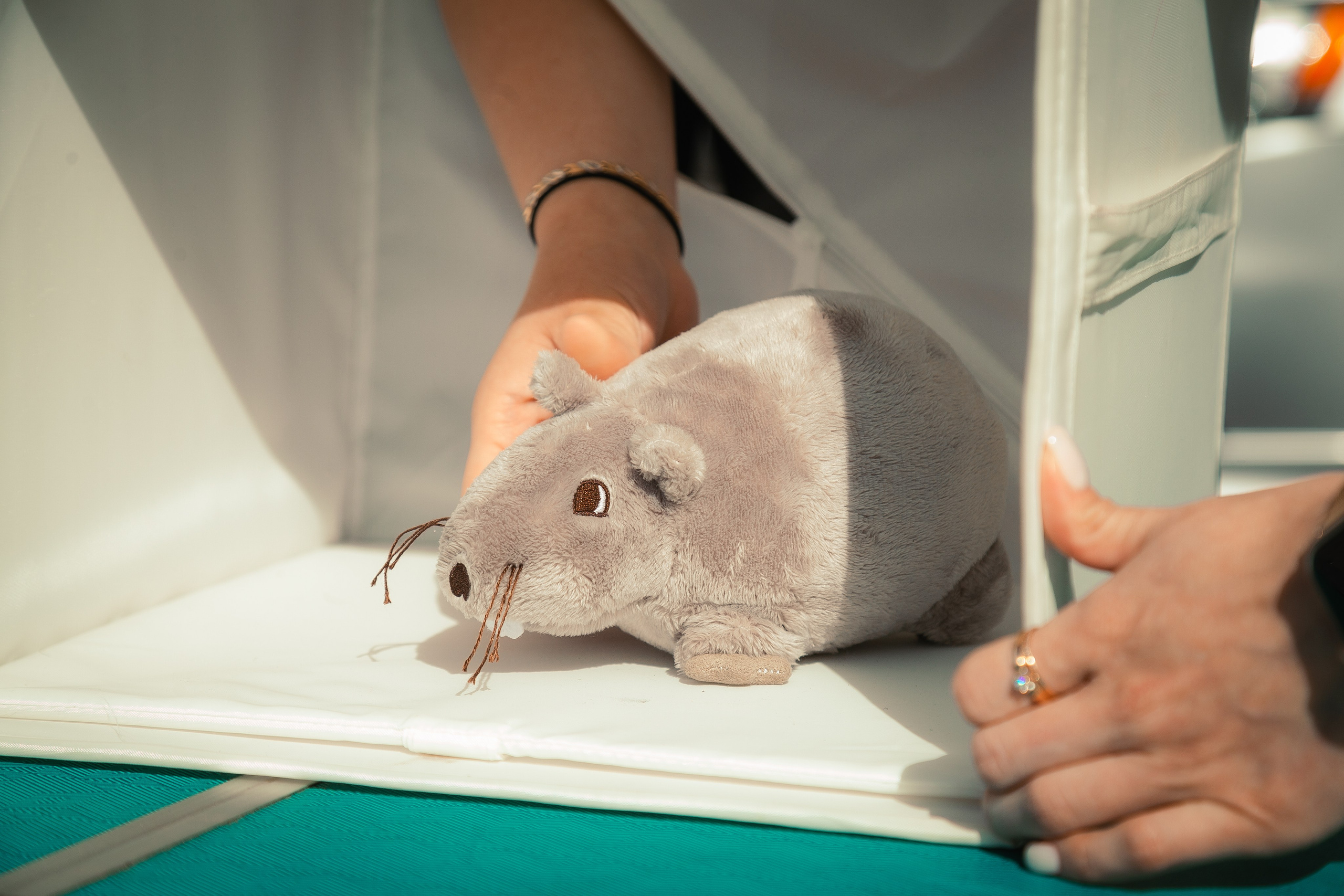 Открытие сезона Lancer Community 2024. Леонид Рябов — фотограф в Нижнем Новгороде