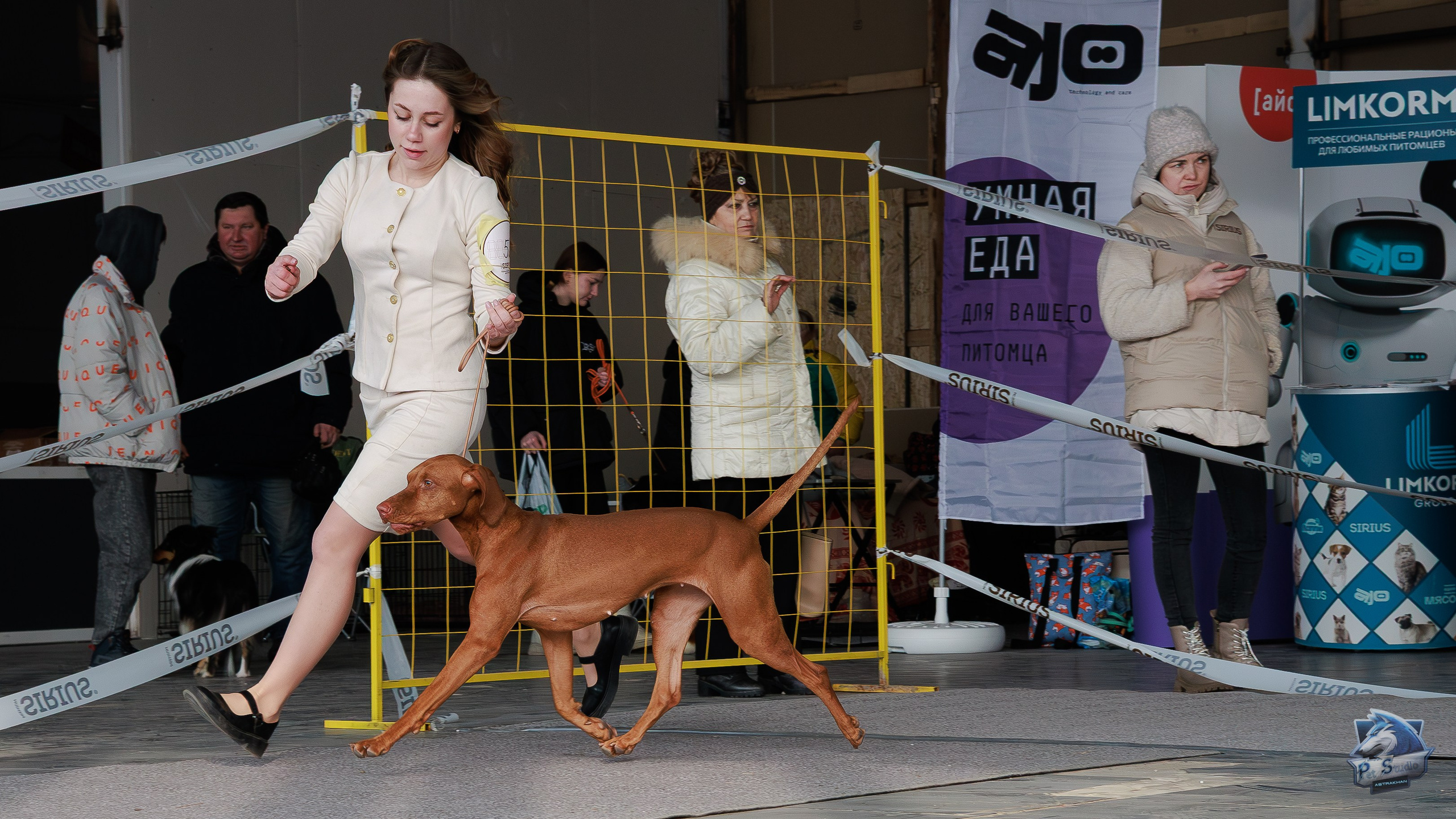 Выставки. Фотограф Марк Файзулин