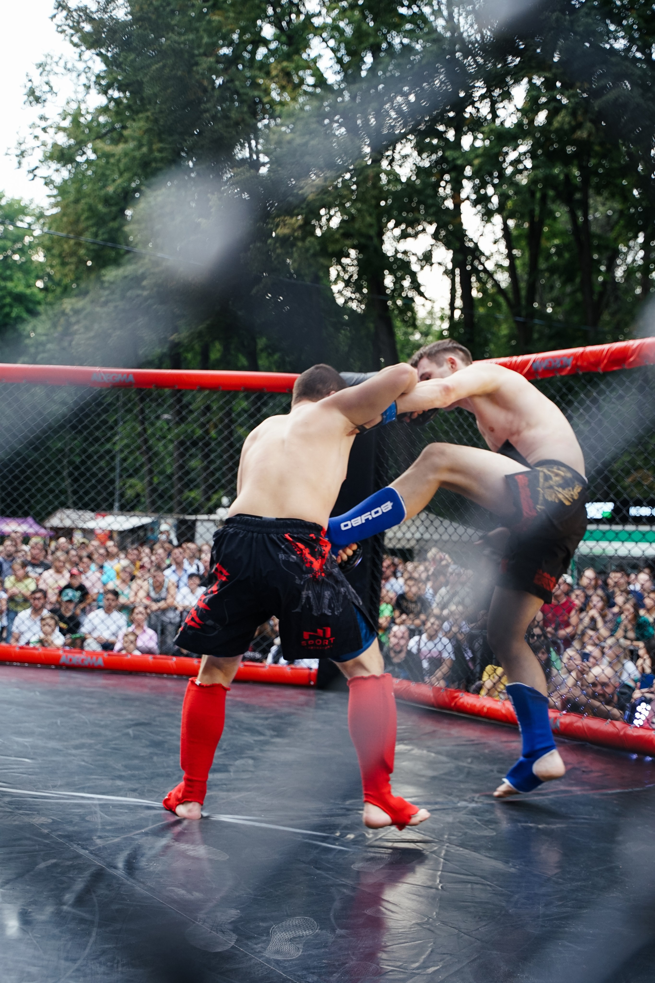 Вечер боев в ЦПКиО. Фотограф Надежда Погребняк | Рязань | Москва