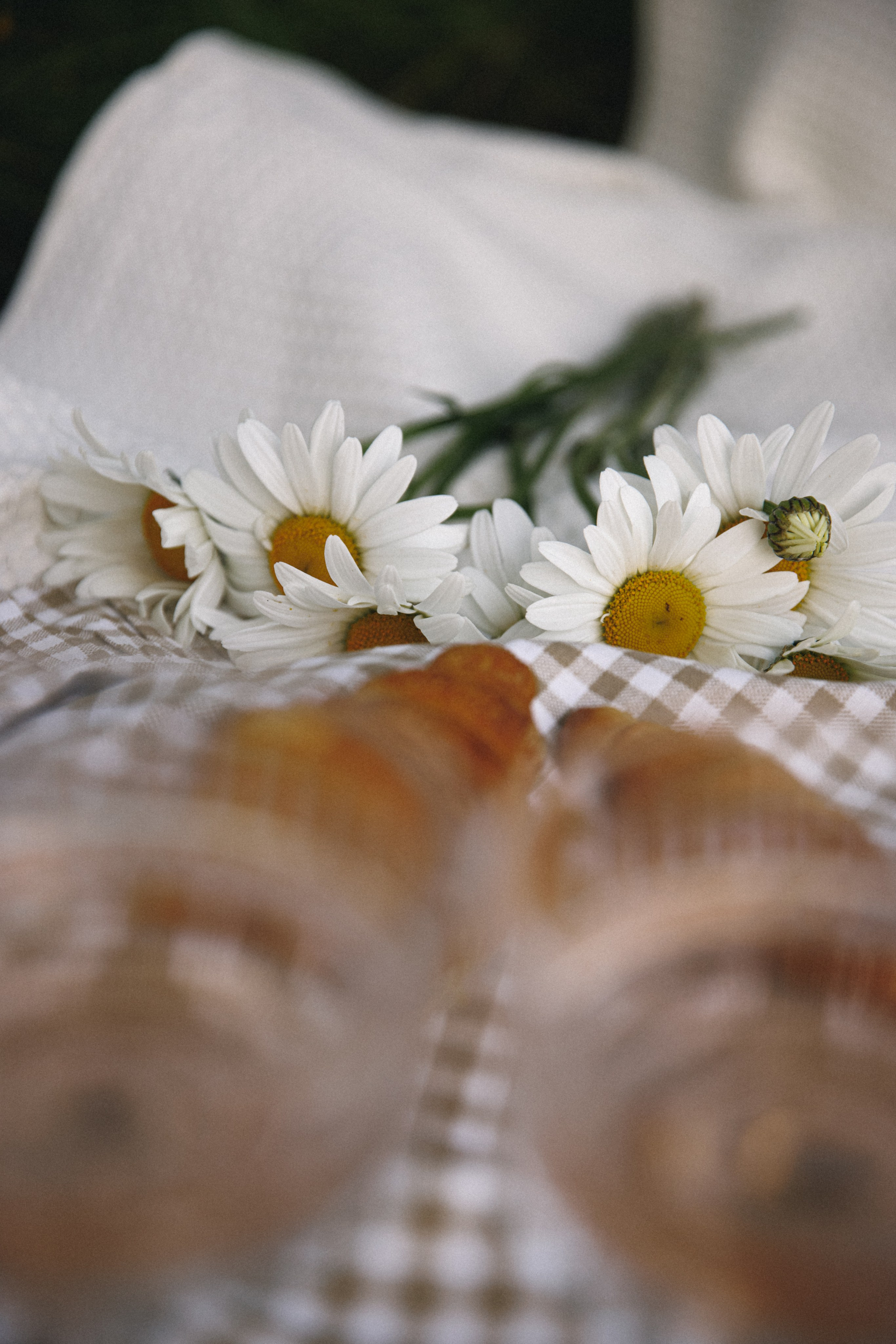 Анастасия. Свадебный и семейный фотограф в Москве Julia Juice