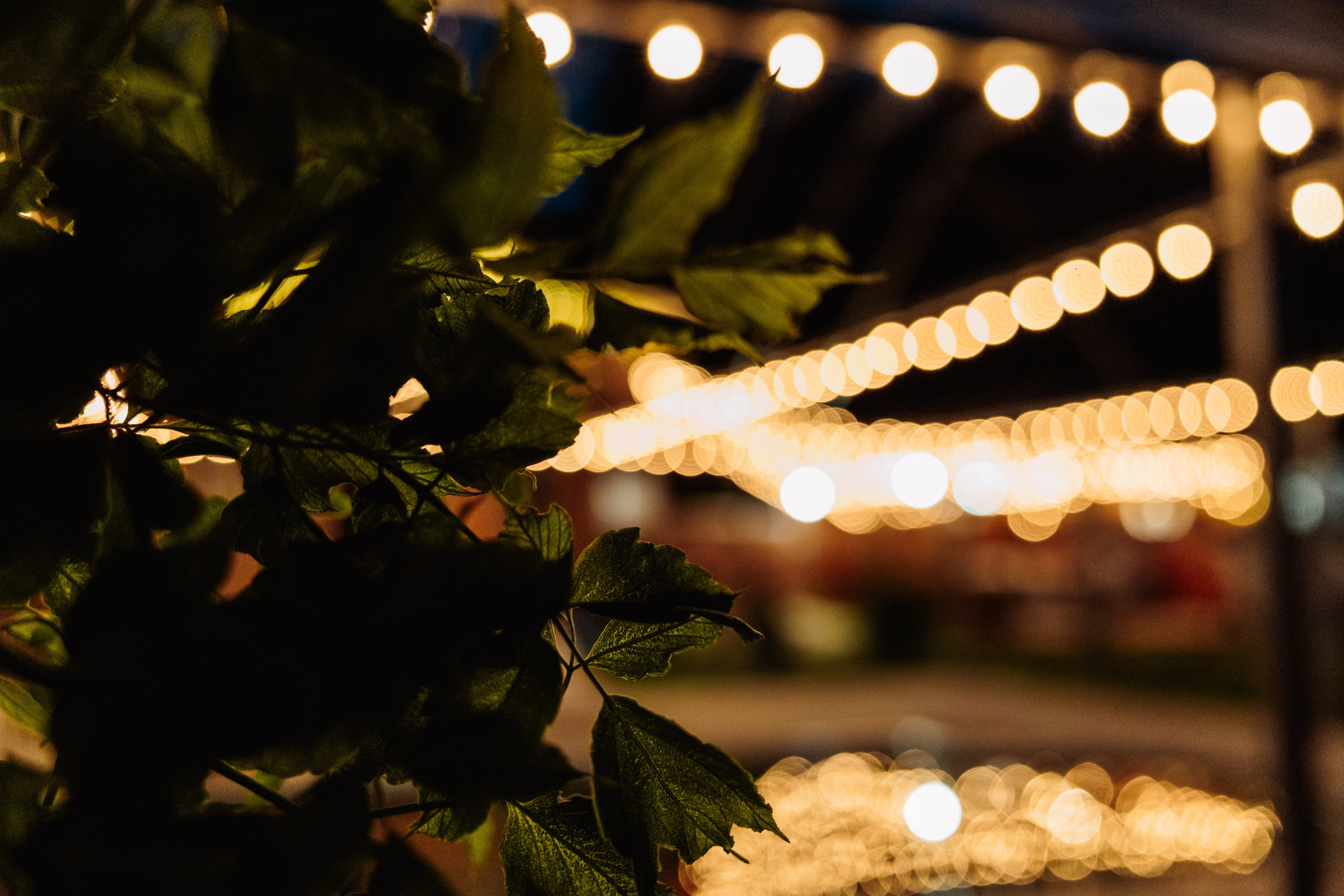 Гостевой Дом «Ривьера» | г. Коломна. ФОТОГРАФ ИРИНА ШАМАТАВА