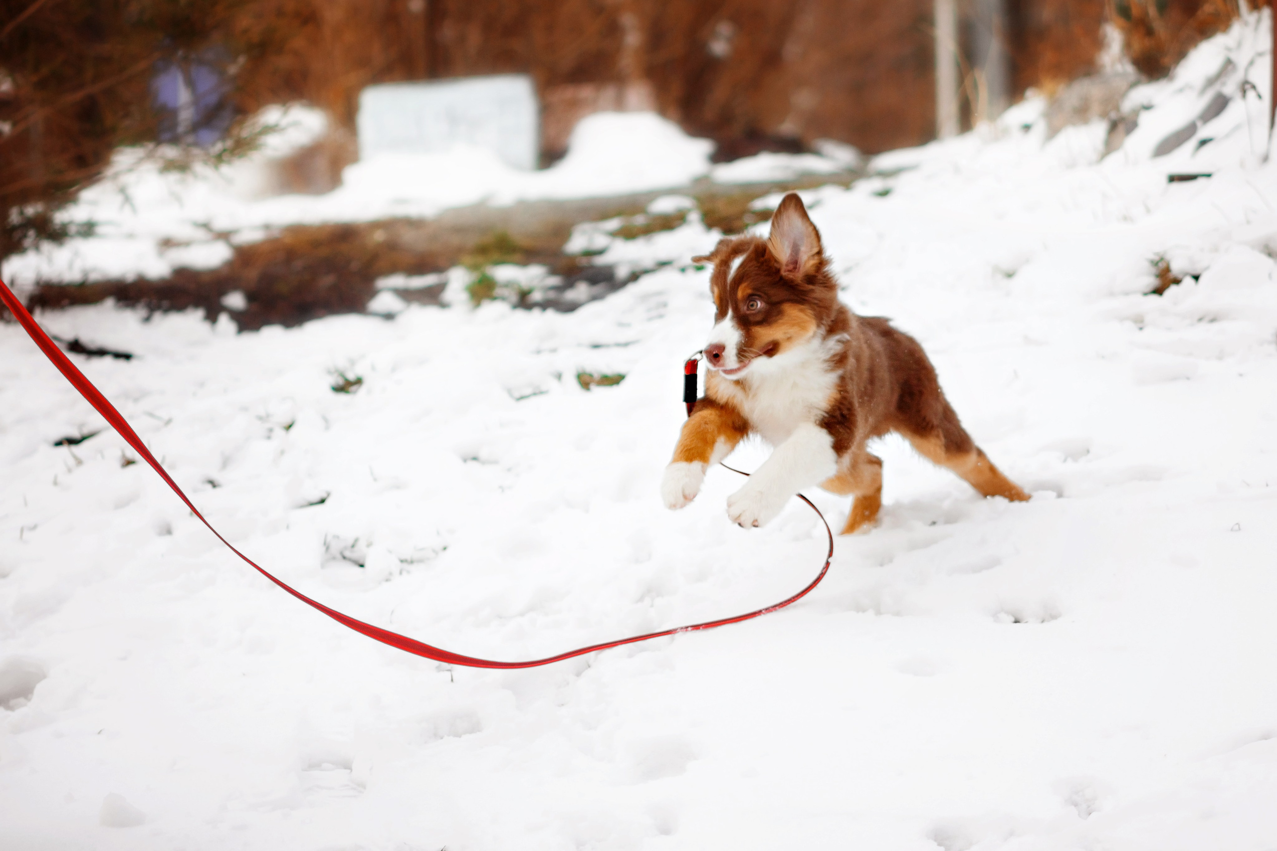 Аксель. Семейный фотограф в Екатеринбурге