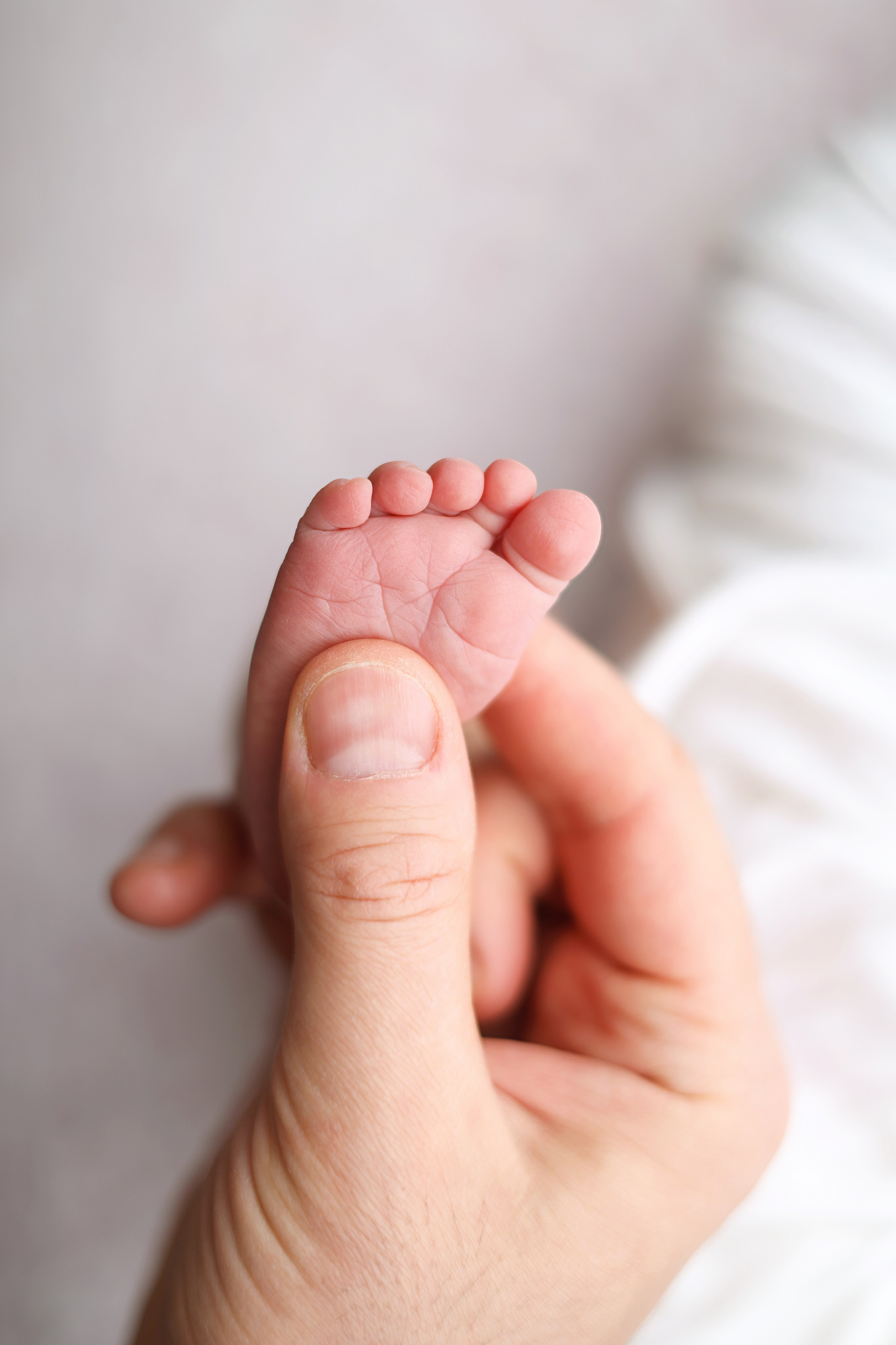 Ньюборн съемка Софии, максимальный пакет. Фотограф новорожденных Москва. Ньюборн фотограф Москва