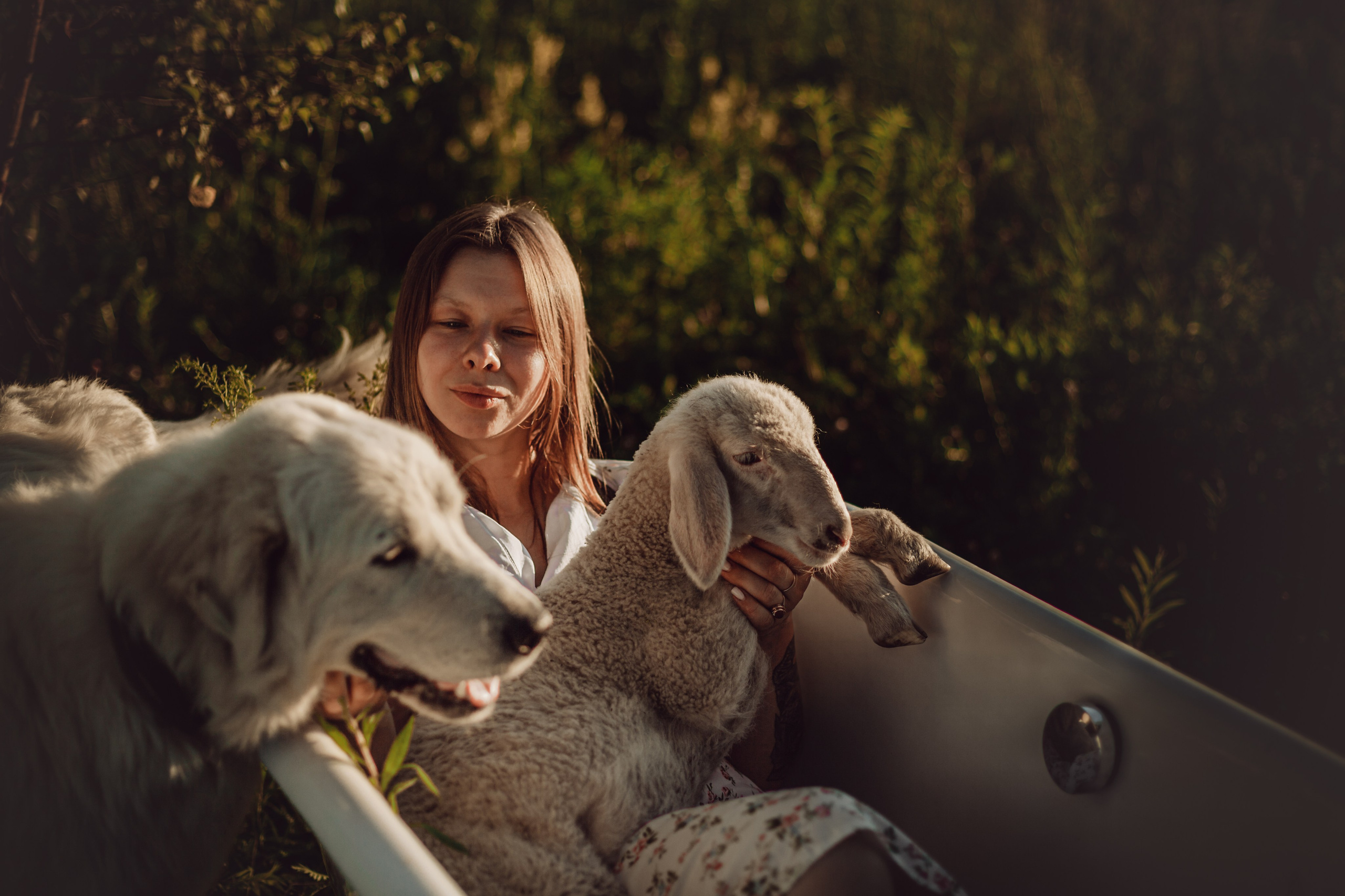 Ванна в поле. Фотограф-анималист Татьяна Степанова