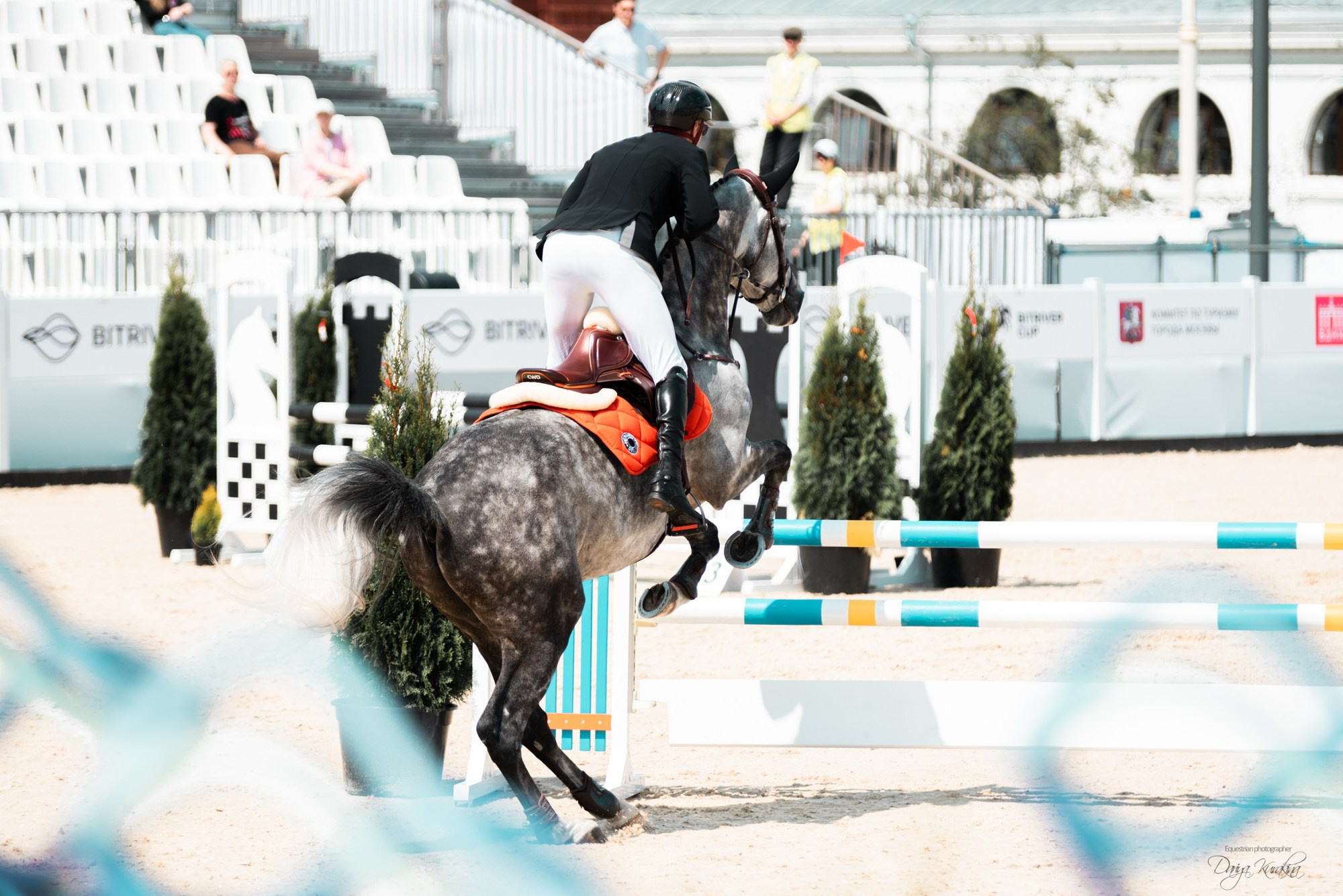 BITRIVER CUP 2023. Конный фотограф Куракина Дарья • Фотосессии с лошадьми