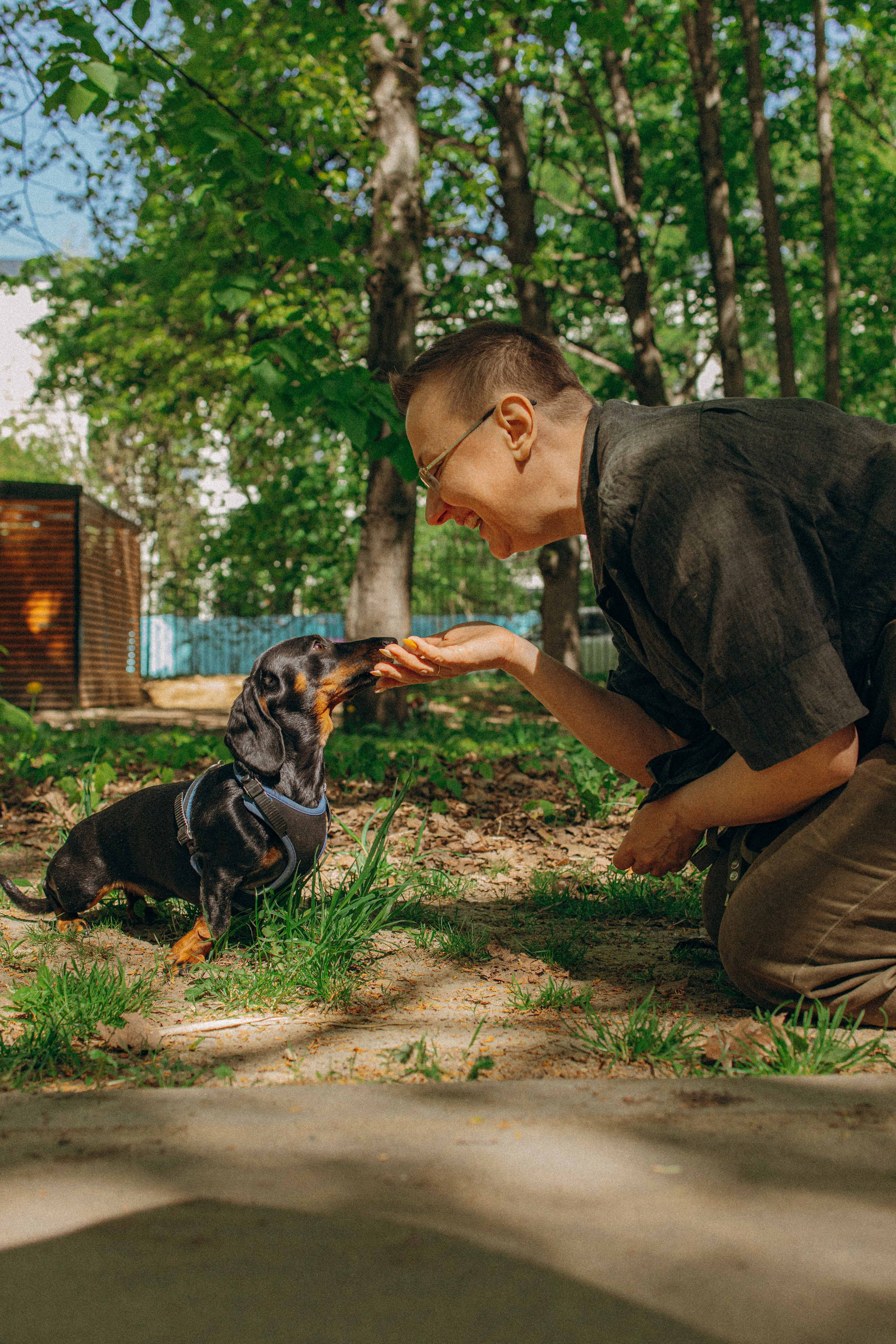 Наталья, Марфа и Норд. Фотограф-анималист в Москве Лера Черноног